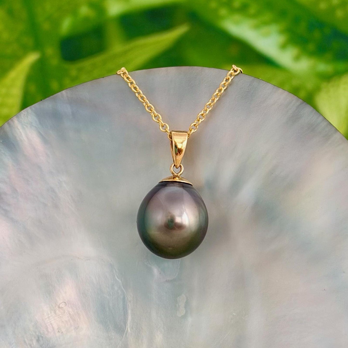 12.3mm Peacock Tahitian Pearl Pendant: Solid Gold • Minimalist Necklace, Colorful Overtone