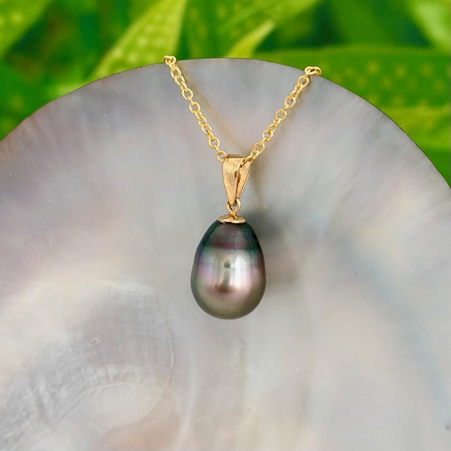 10.5mm Peacock Purple Tahitian Pearl Pendant: Solid Gold • Minimalist Necklace, Colorful Overtone
