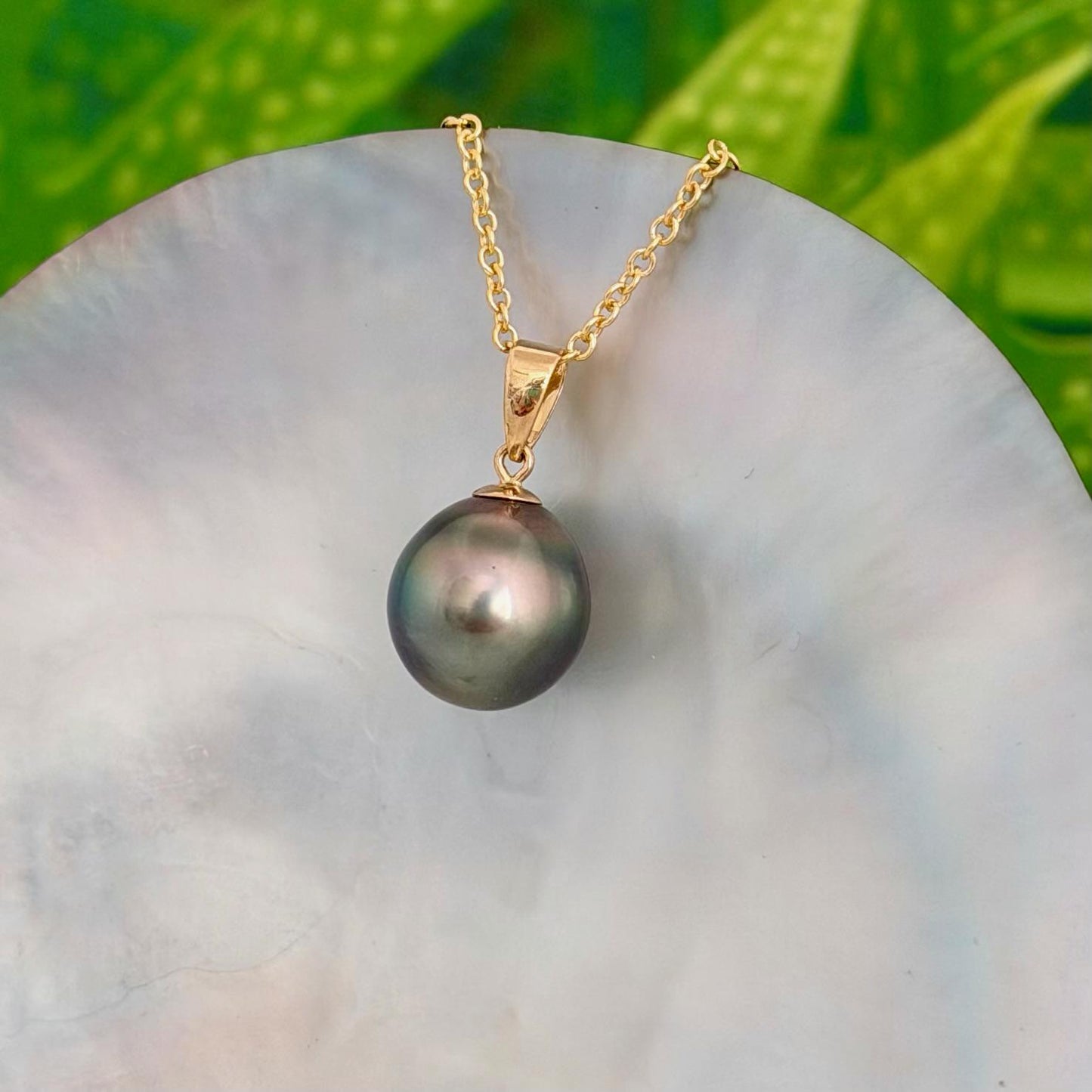 11.5mm Peacock Tahitian Pearl Pendant: Solid Gold • Minimalist Necklace, Colorful Overtone