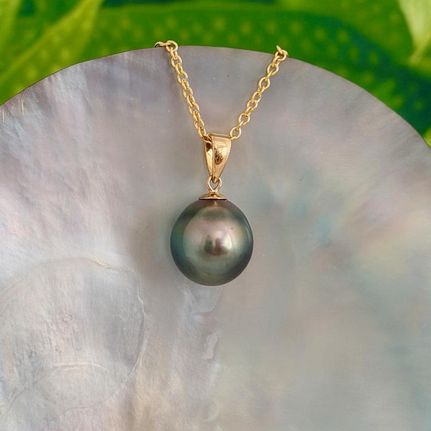 11.5mm Peacock Tahitian Pearl Pendant: Solid Gold • Minimalist Necklace, Colorful Overtone