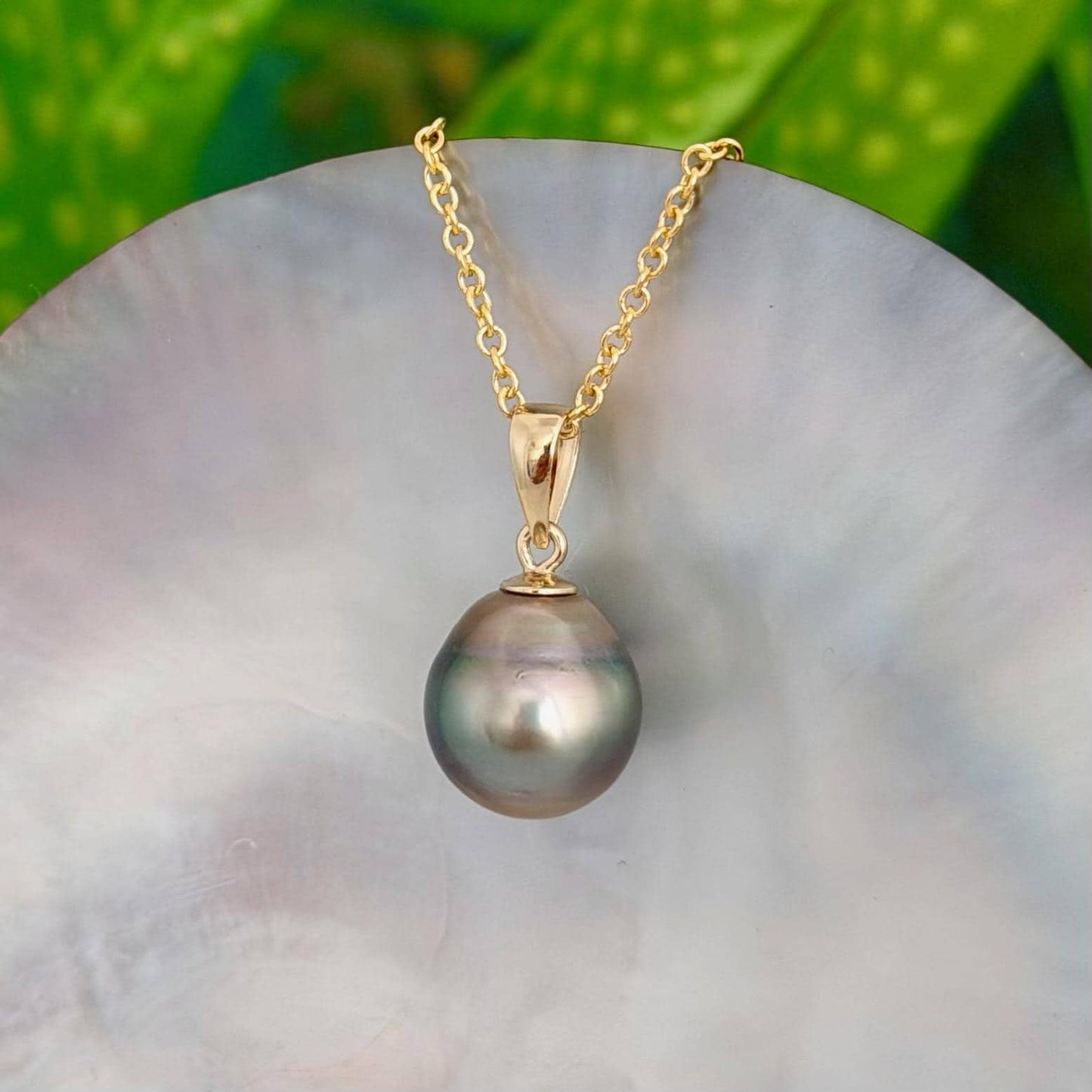 Tahitian Pearl Pendant • 11.2mm Golden Peacock • 14k Gold Vermeil • Minimalist Necklace