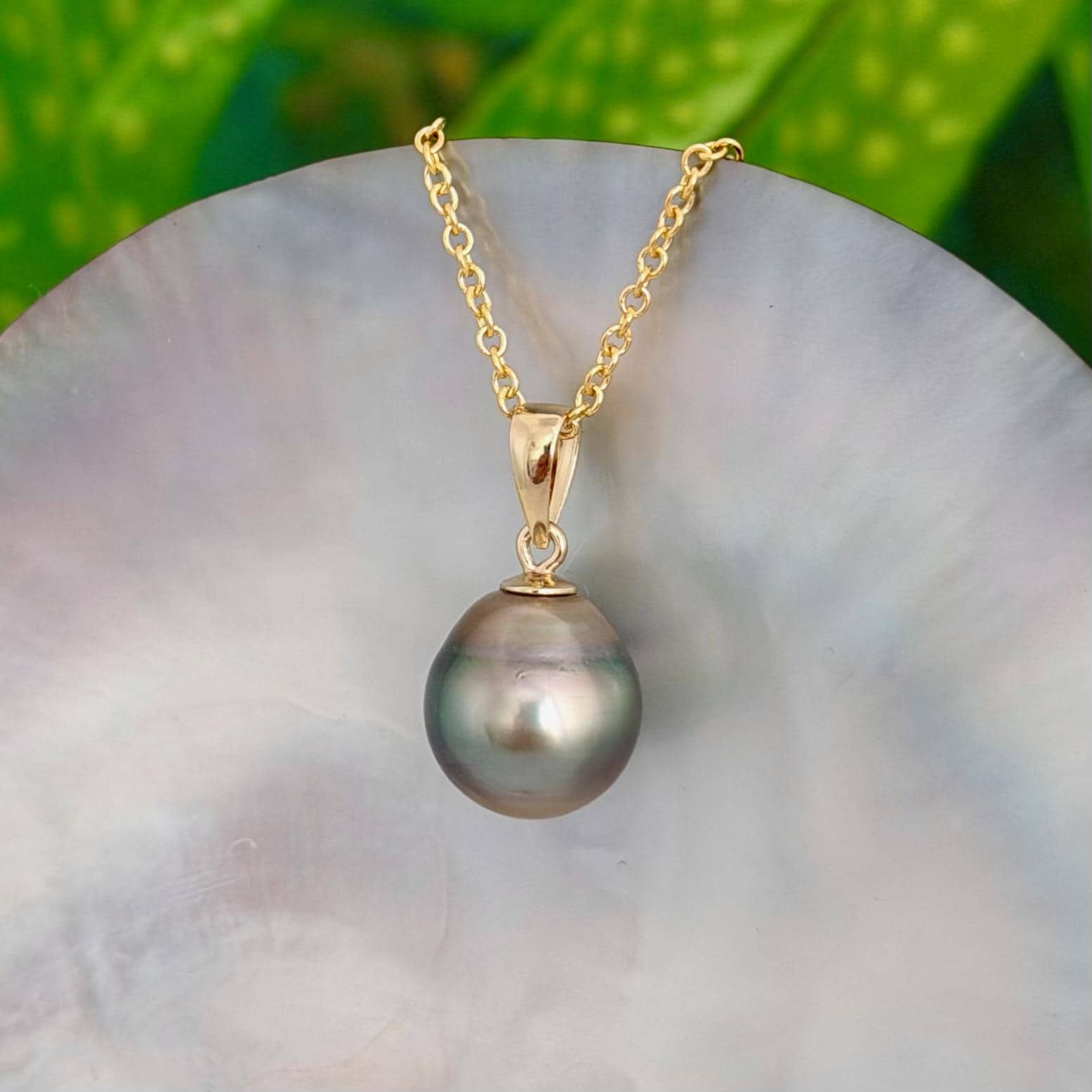 Tahitian Pearl Pendant • 11.2mm Golden Peacock • 14k Gold Vermeil • Minimalist Necklace