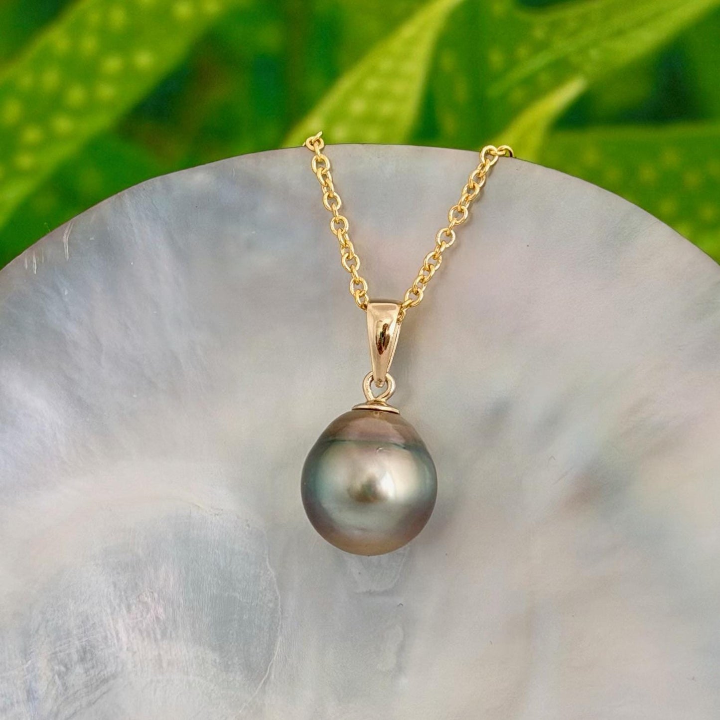 Tahitian Pearl Pendant • 11.2mm Golden Peacock • 14k Gold Vermeil • Minimalist Necklace