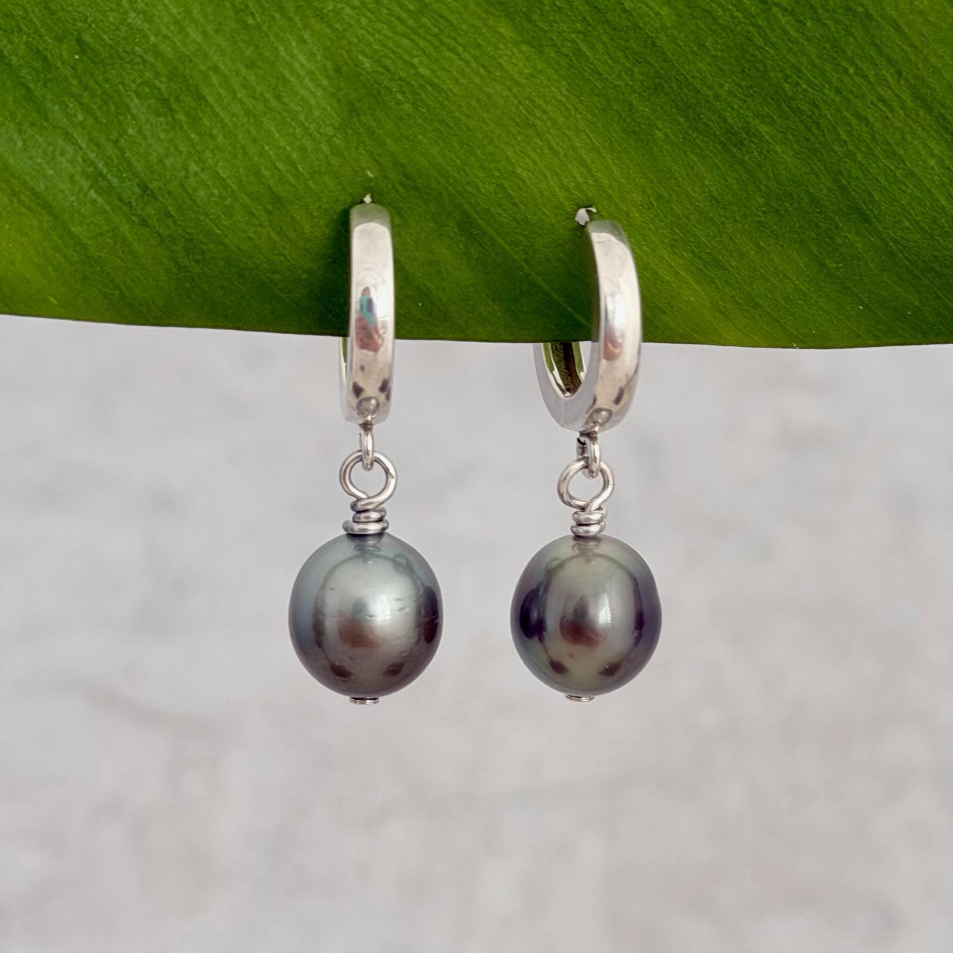 Tahitian pearl huggies • Sterling silver earrings