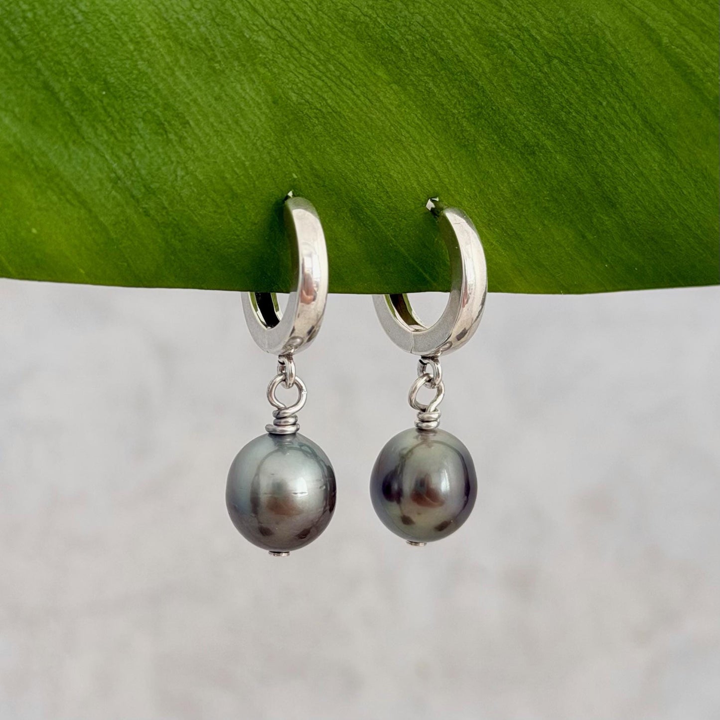 Tahitian pearl huggies • Sterling silver earrings