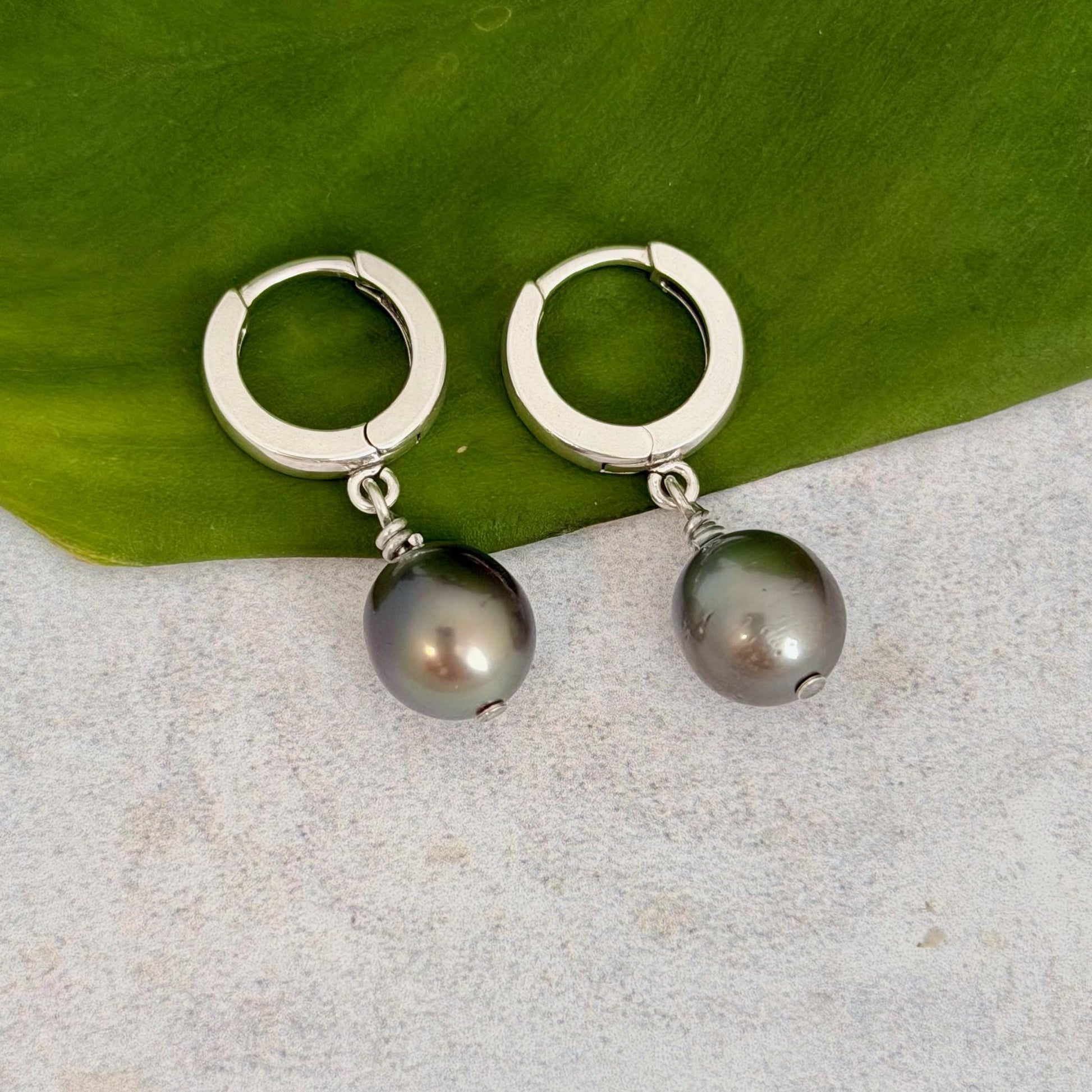 Tahitian pearl huggies • Sterling silver earrings