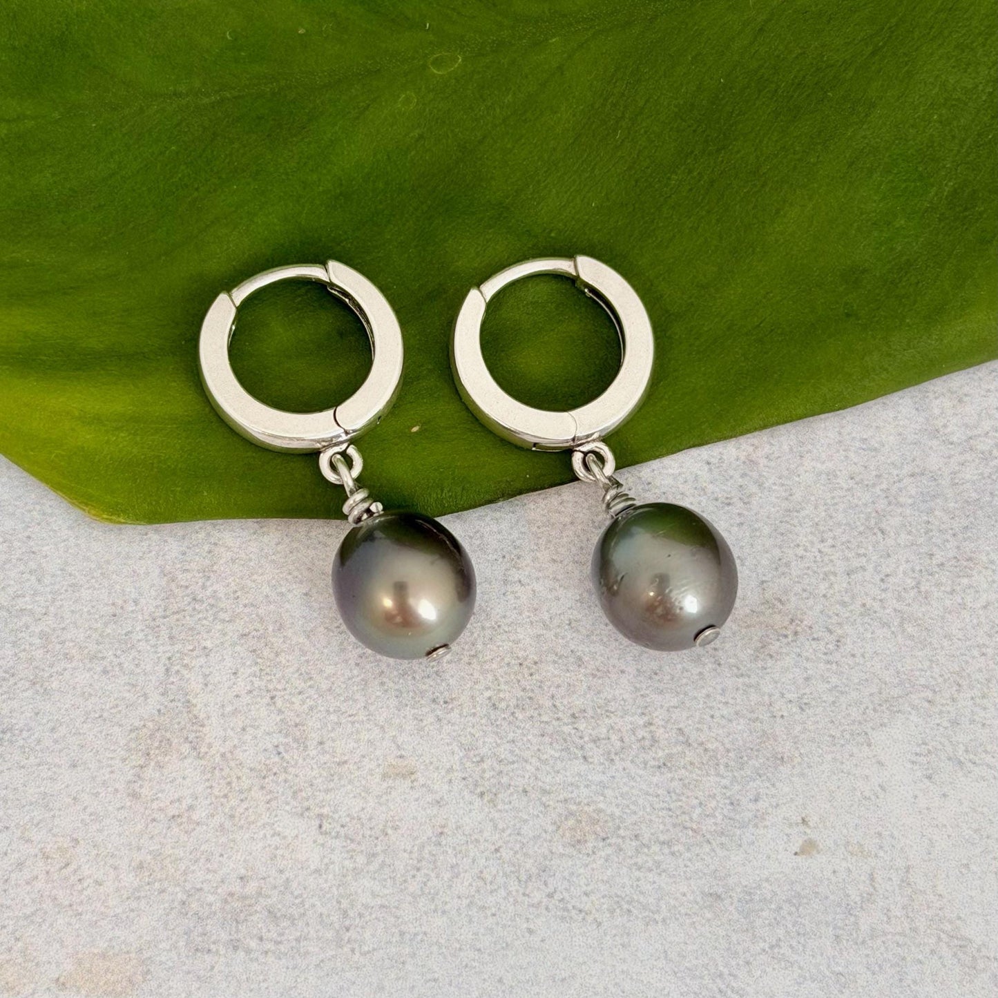Tahitian pearl huggies • Sterling silver earrings