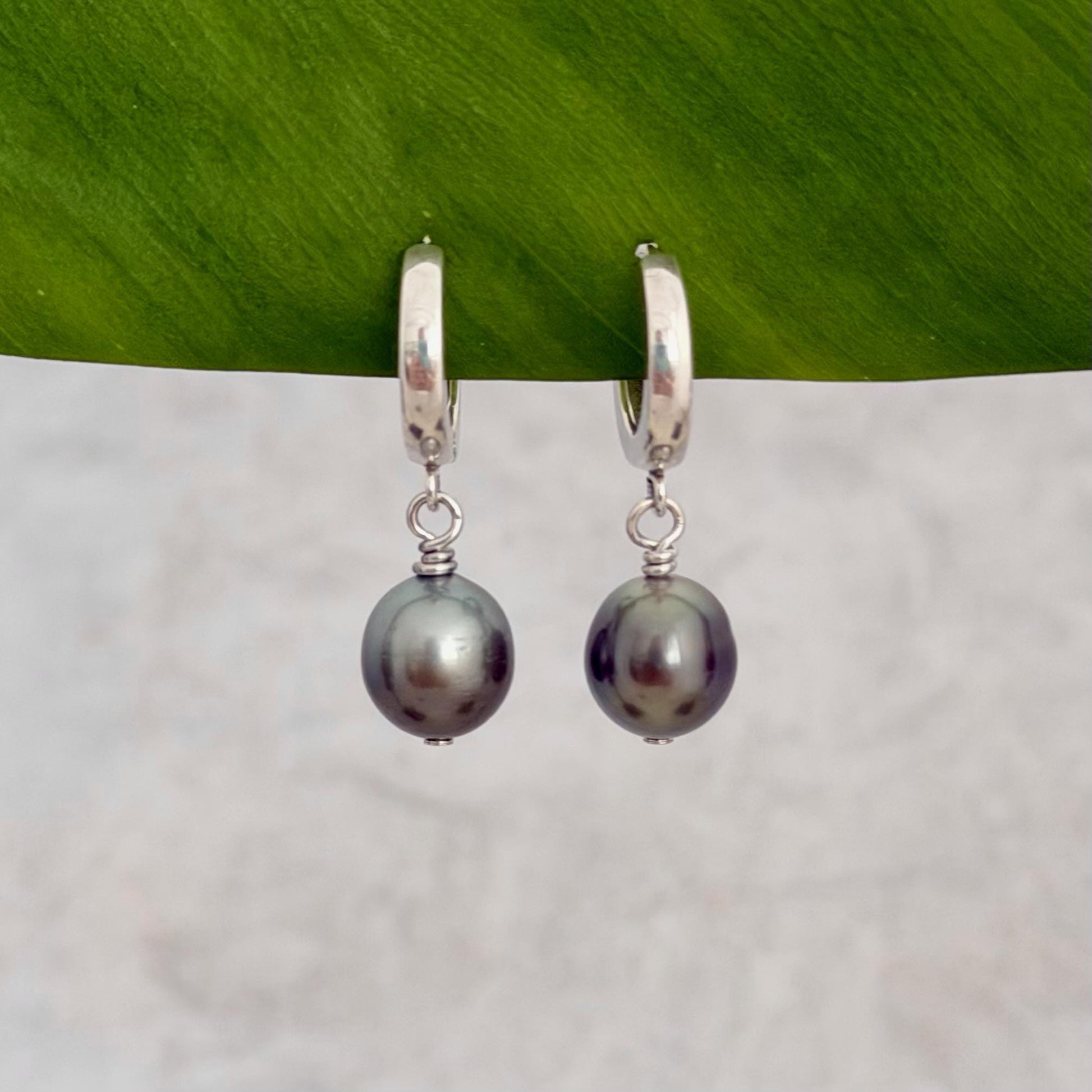 Tahitian pearl huggies • Sterling silver earrings