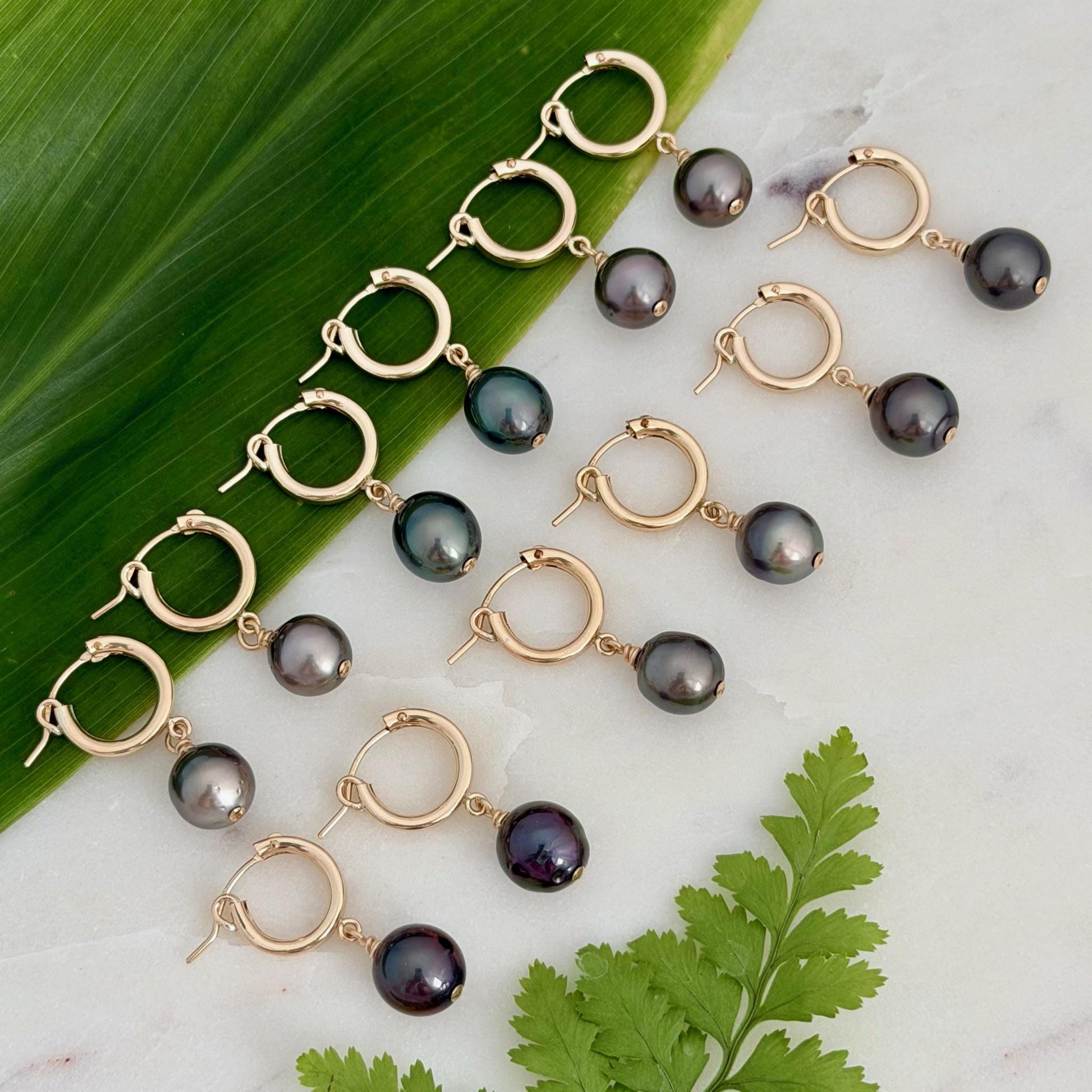 tahitian pearl huggies hoops in gold filled