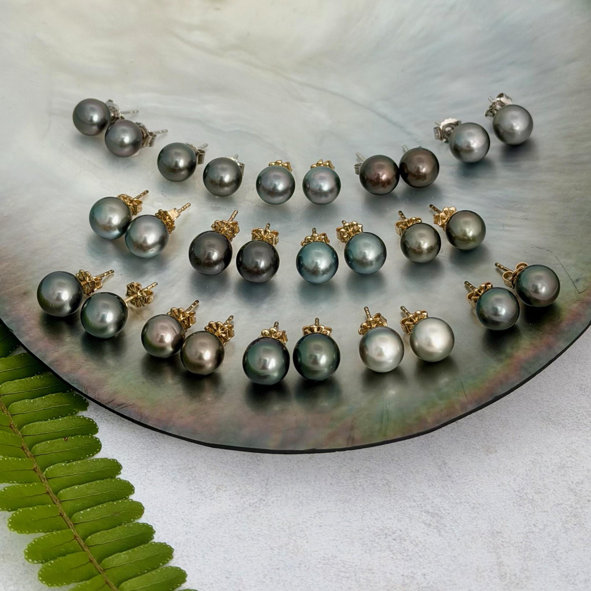 Tahitian pearl stud earrings • classic everyday jewelry • gold vermeil and sterling silver