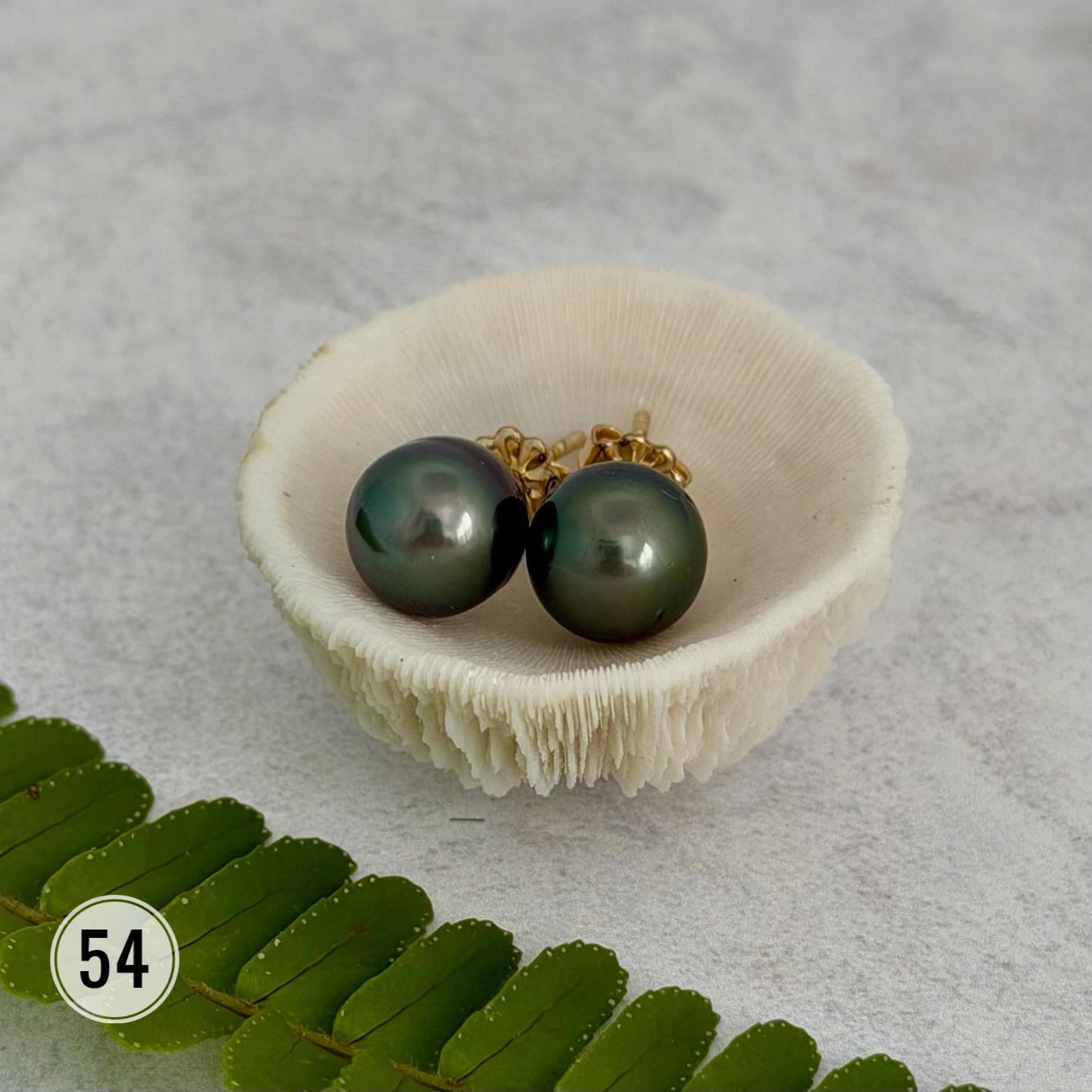 Tahitian pearl stud earrings • classic everyday jewelry • gold vermeil and sterling silver