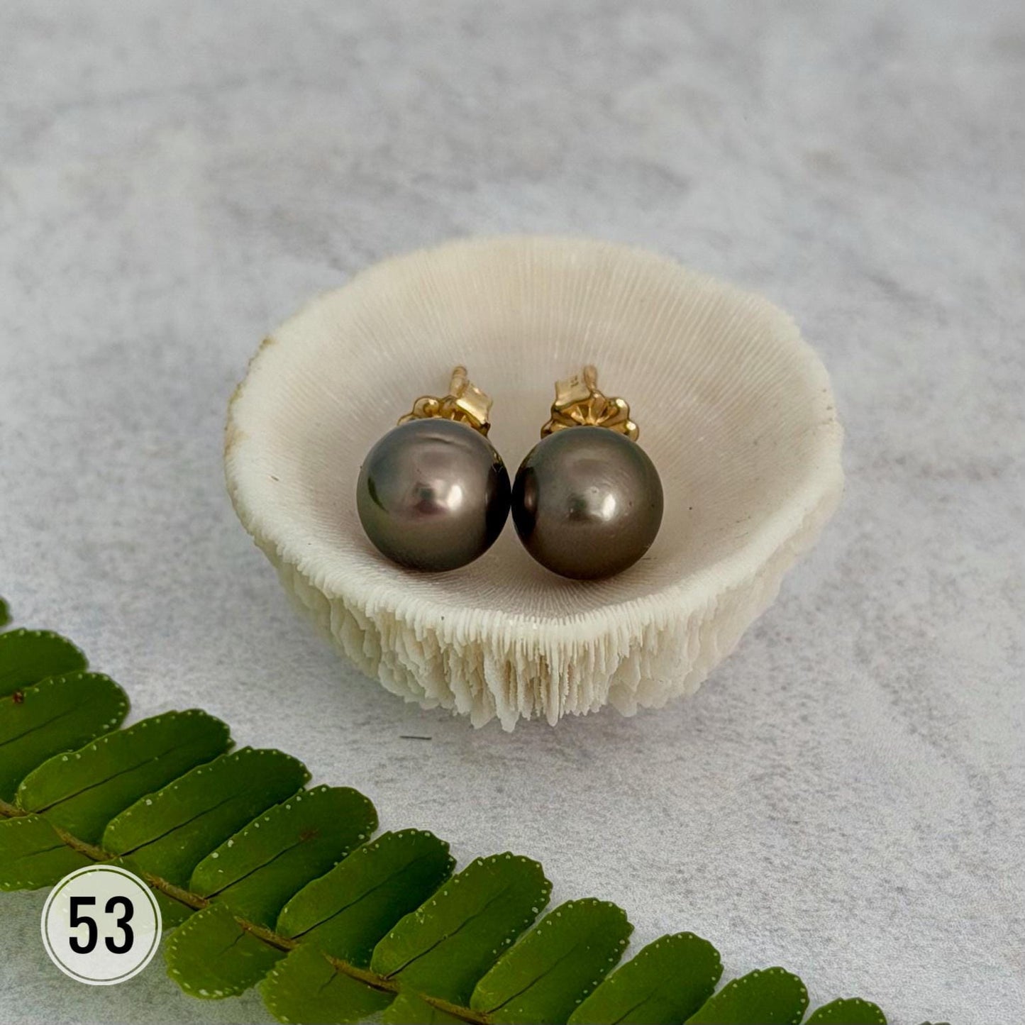 Tahitian pearl stud earrings • classic everyday jewelry • gold vermeil and sterling silver