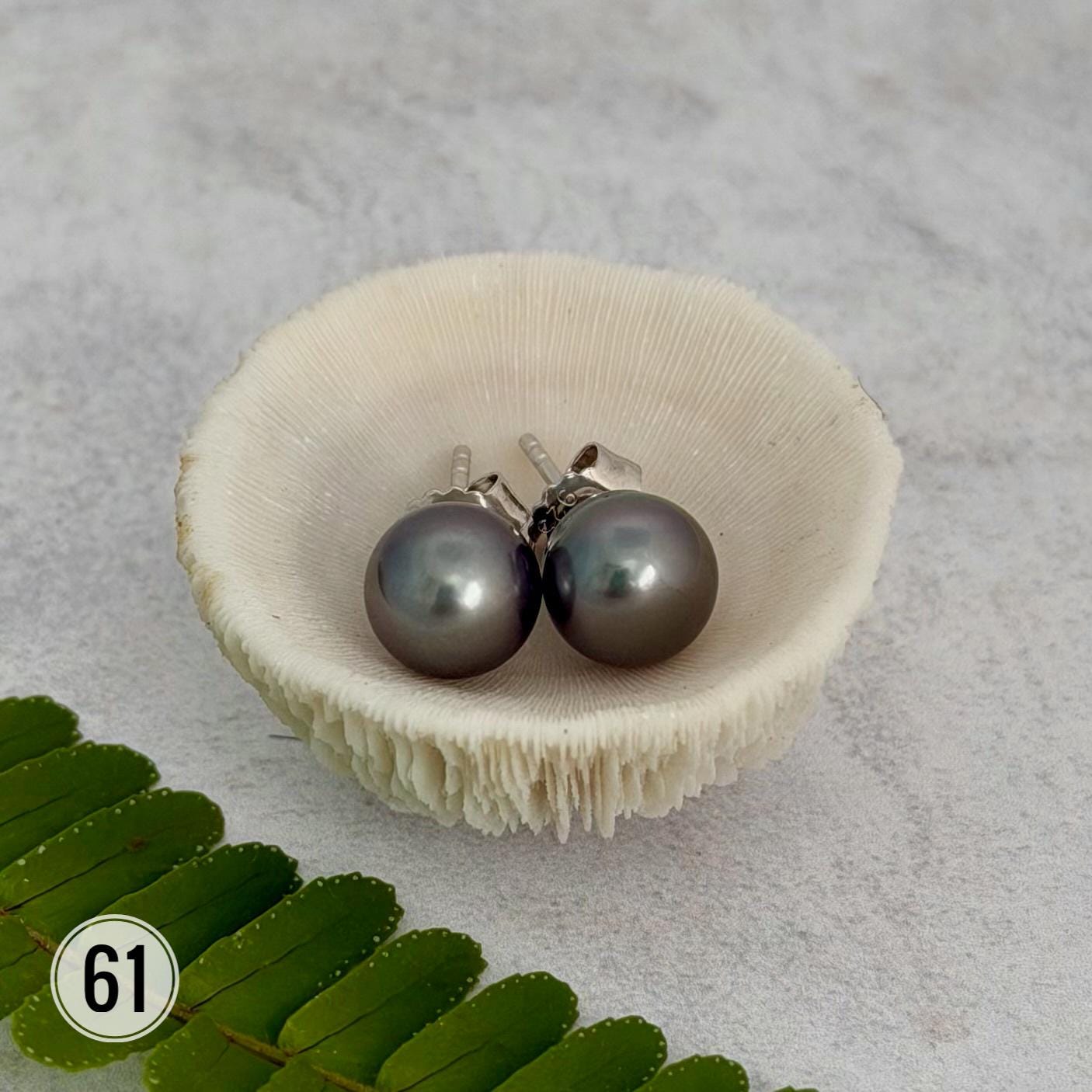 Tahitian pearl stud earrings • classic everyday jewelry • gold vermeil and sterling silver