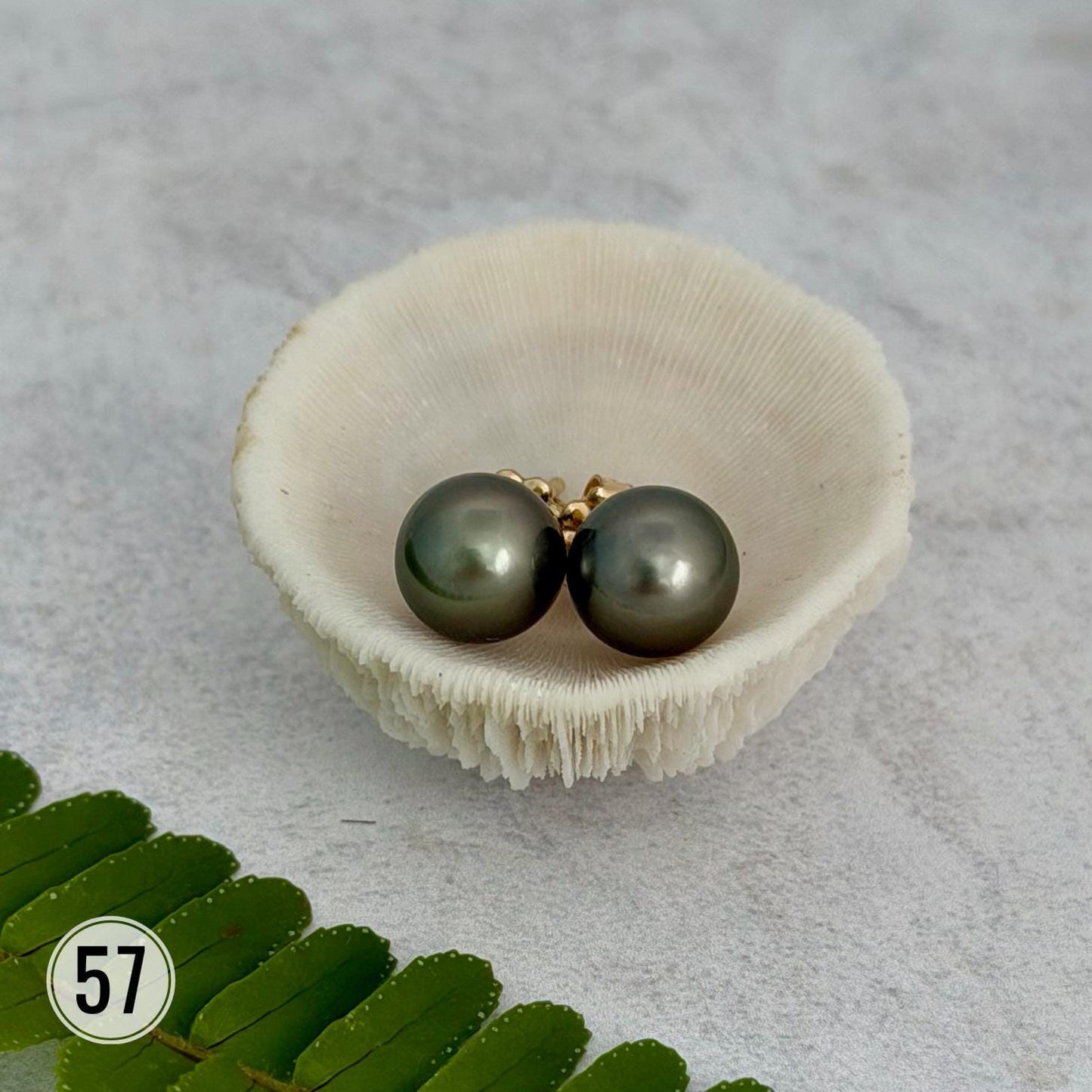 Tahitian pearl stud earrings • classic everyday jewelry • gold vermeil and sterling silver