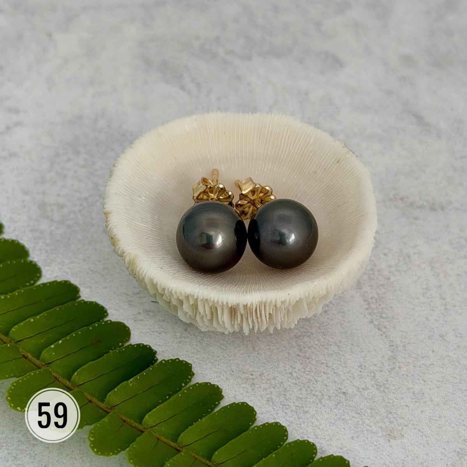 Tahitian pearl stud earrings • classic everyday jewelry • gold vermeil and sterling silver