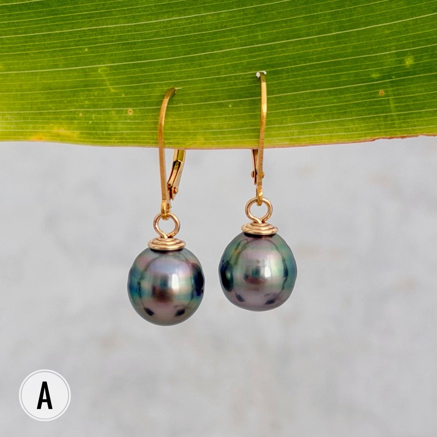 Tahitian Pearl Leverback Earrings • Gold filled dangle jewelry