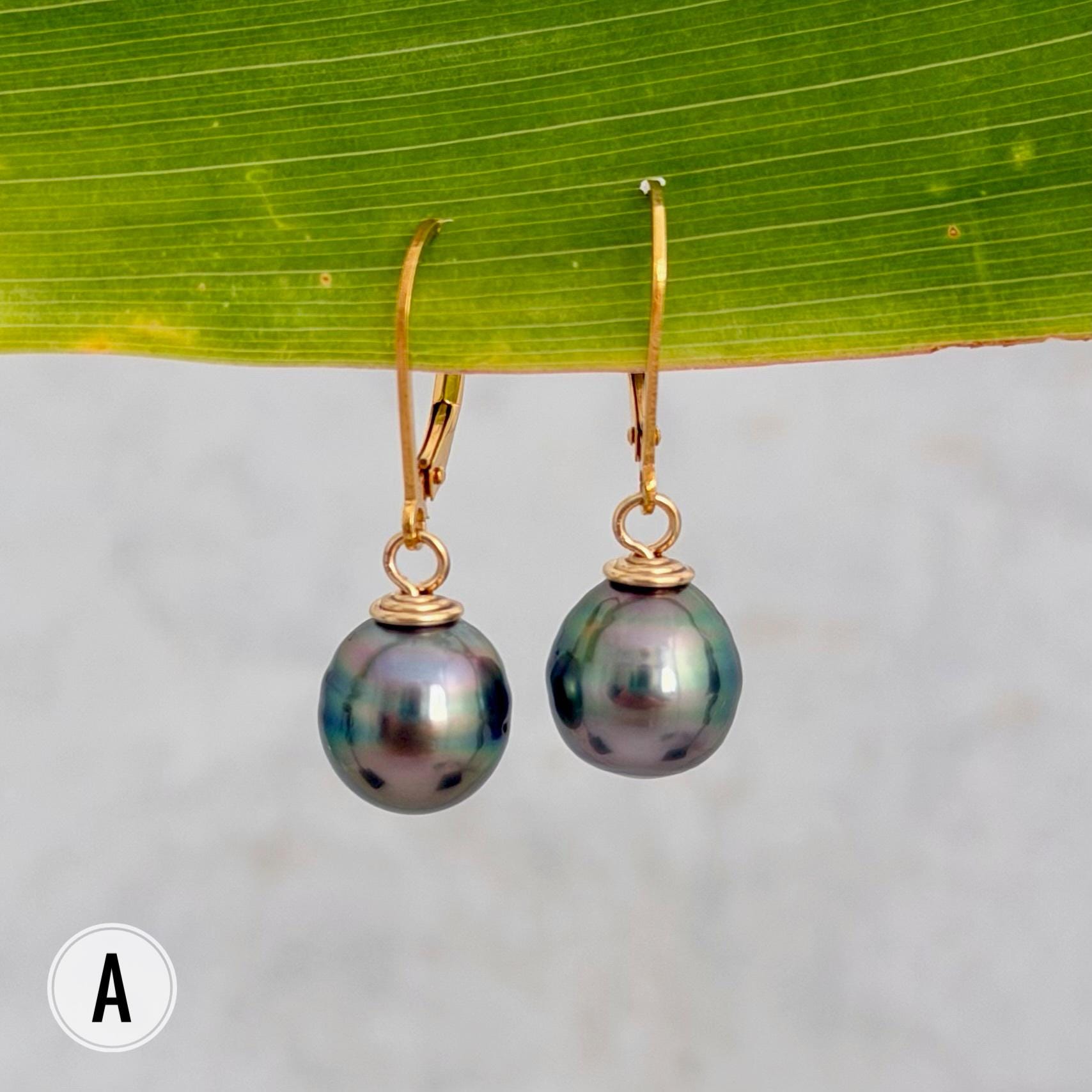 Tahitian Pearl Leverback Earrings • Gold filled dangle jewelry