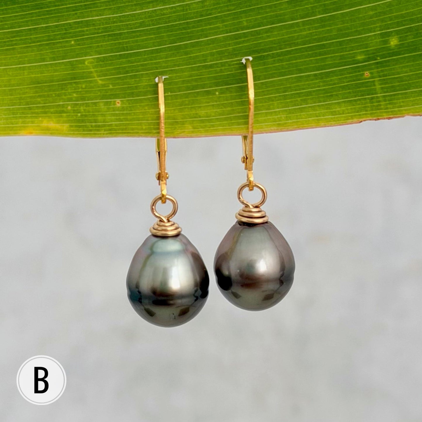 Tahitian Pearl Leverback Earrings • Gold filled dangle jewelry