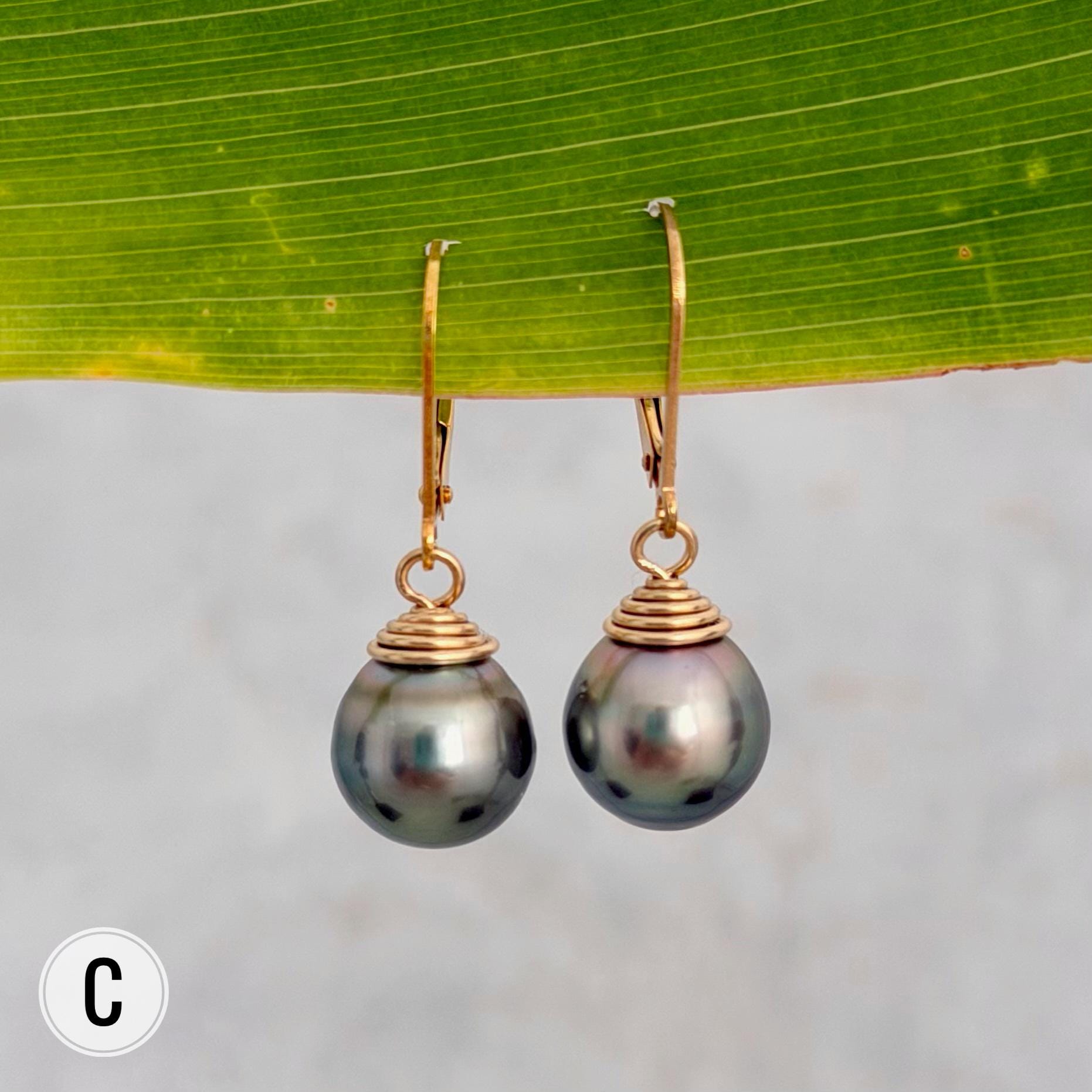 Tahitian Pearl Leverback Earrings • Gold filled dangle jewelry