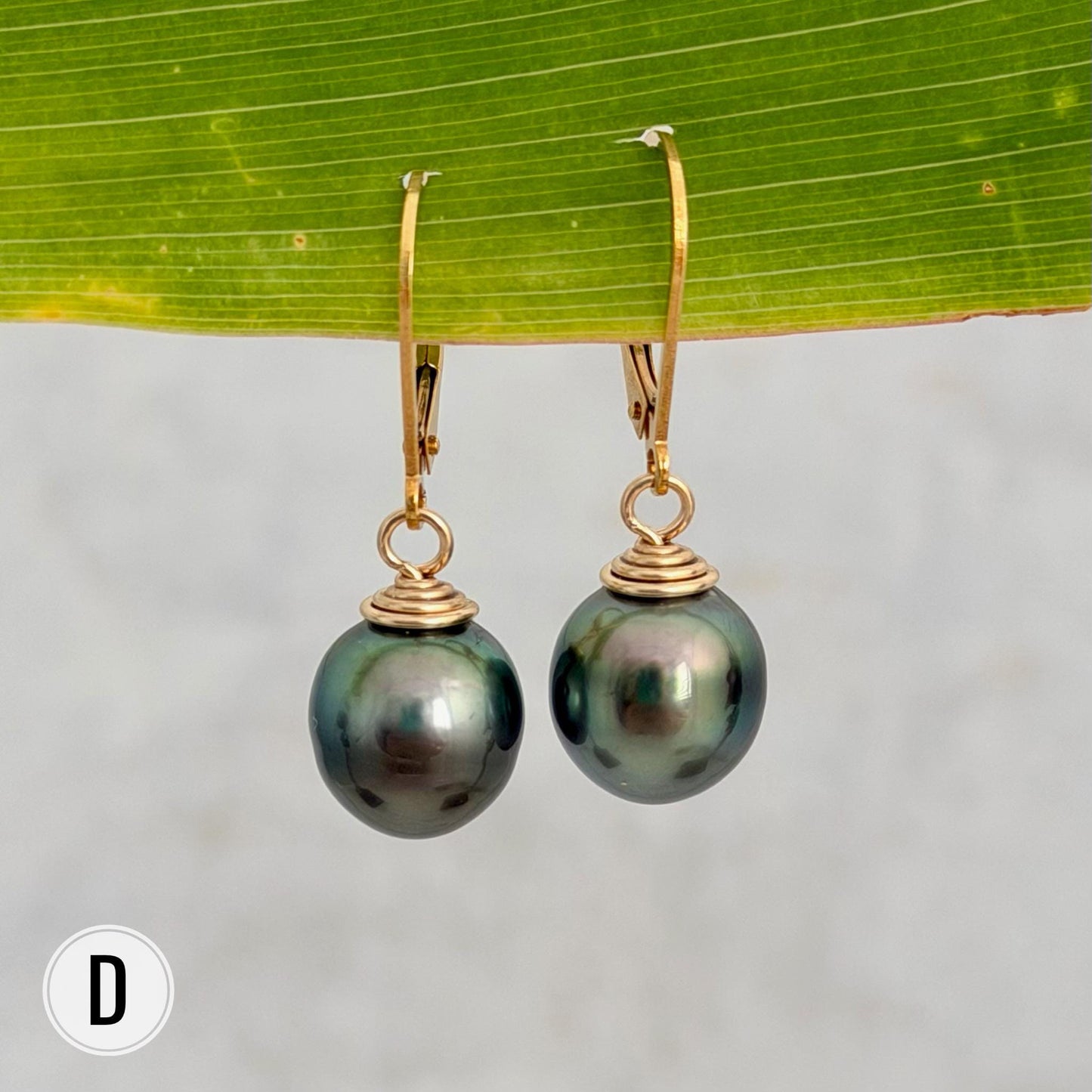 Tahitian Pearl Leverback Earrings • Gold filled dangle jewelry