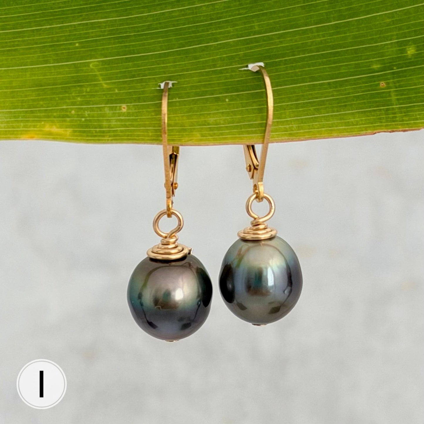 Tahitian Pearl Leverback Earrings • Gold filled dangle jewelry