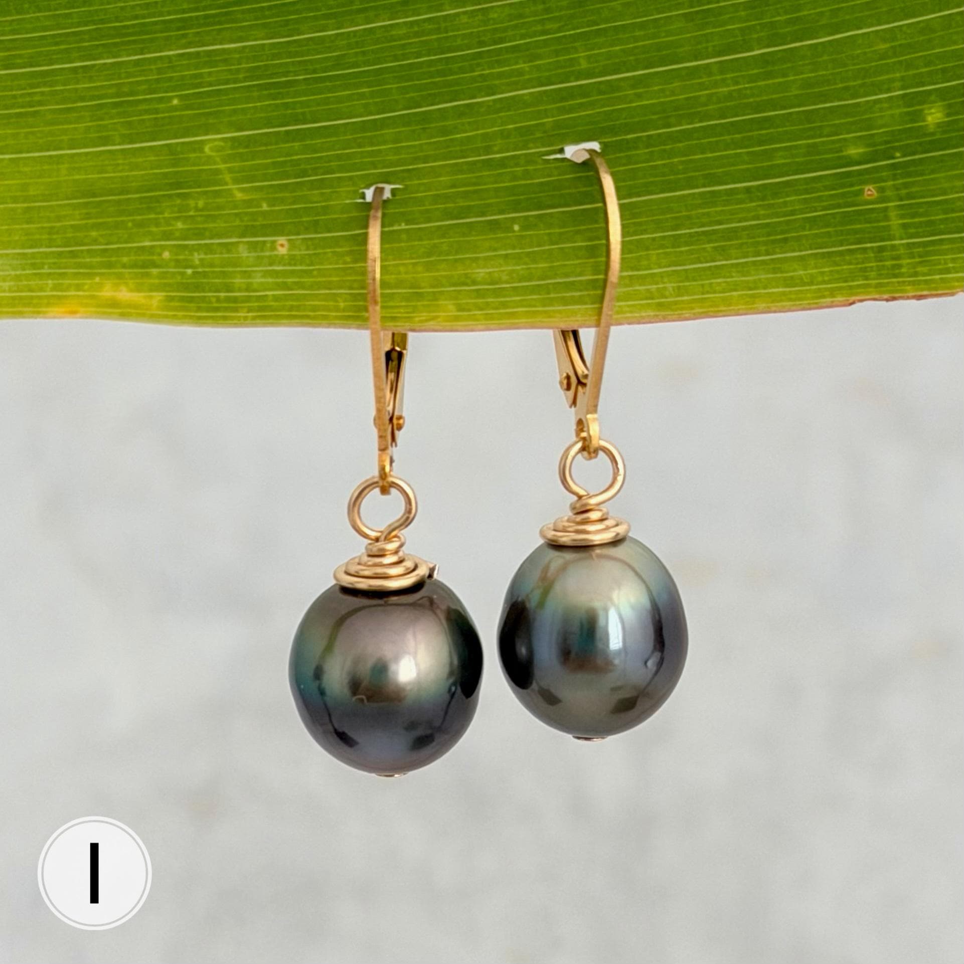 Tahitian Pearl Leverback Earrings • Gold filled dangle jewelry