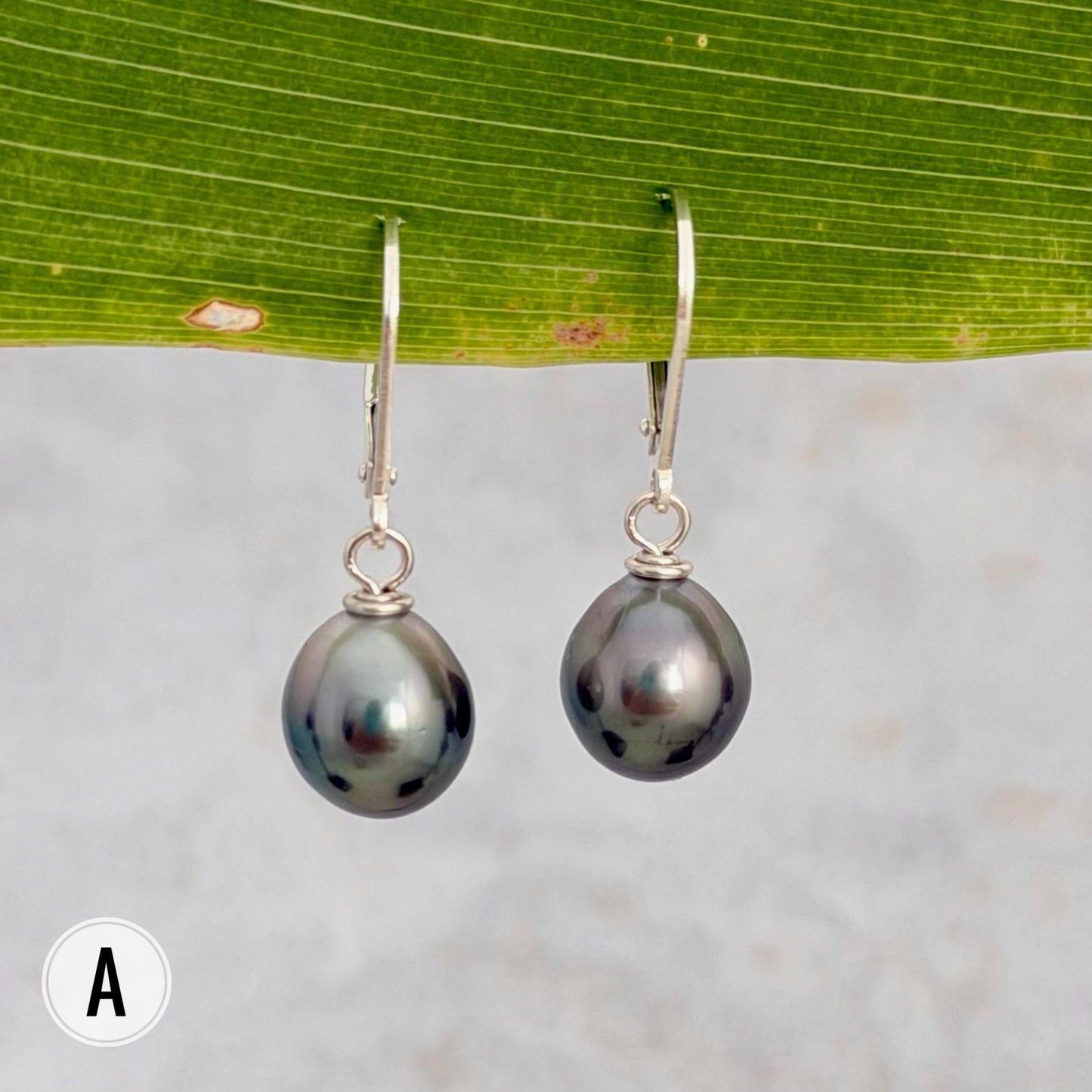 DOORBUSTER Tahitian Pearl Leverback Earrings • Sterling silver dangle jewelry