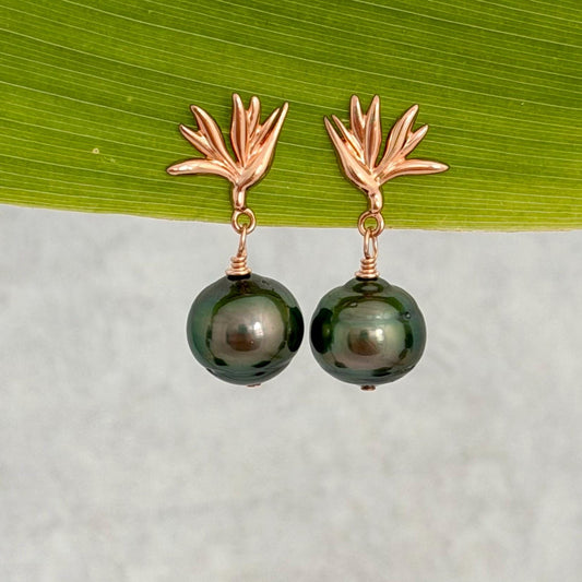 Tahitian Pearl Earrings • Rose Gold Bird of Paradise Studs • Hawaiian Jewelry Gift
