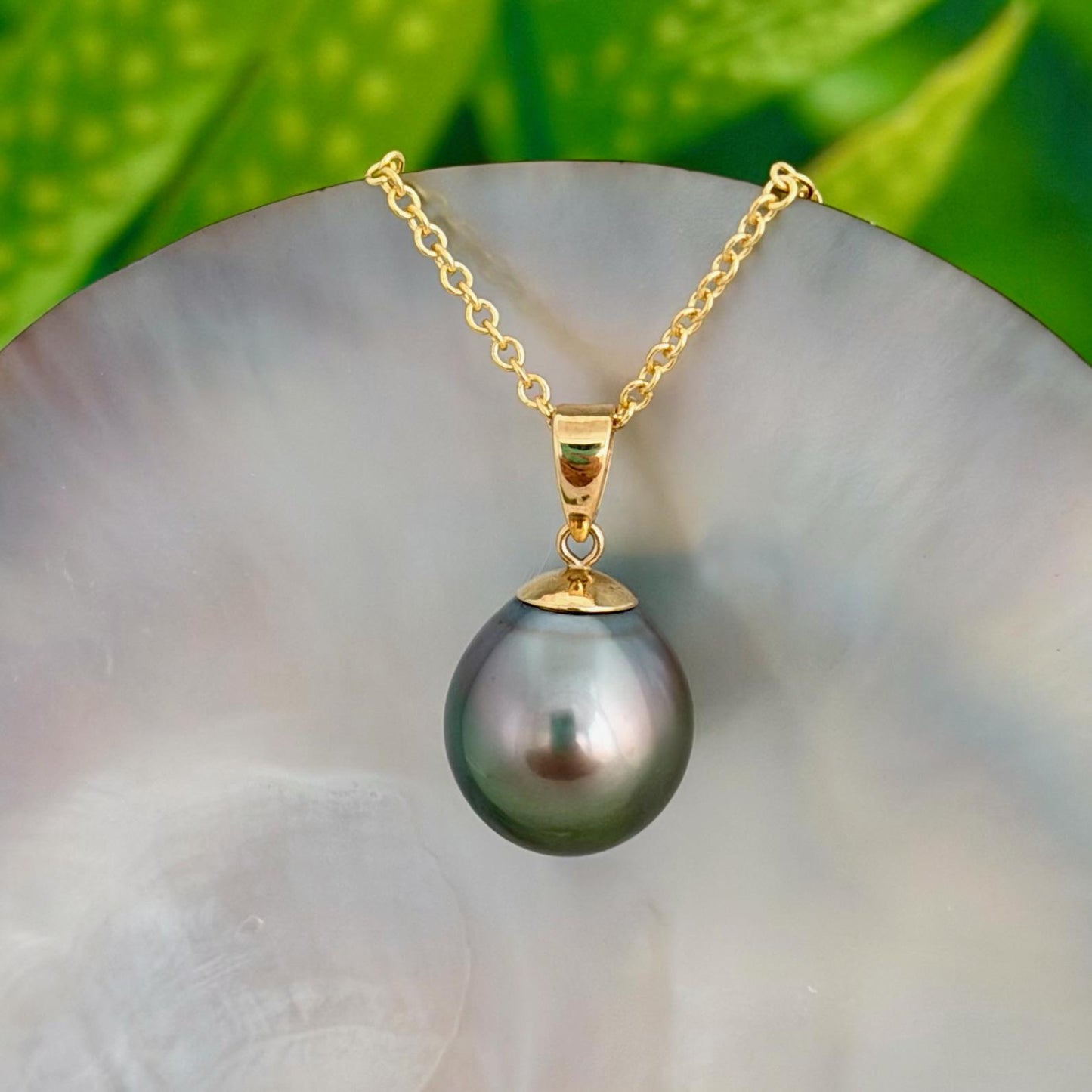 12.3mm Peacock Tahitian Pearl Pendant: Solid Gold • Minimalist Necklace, Colorful Overtone