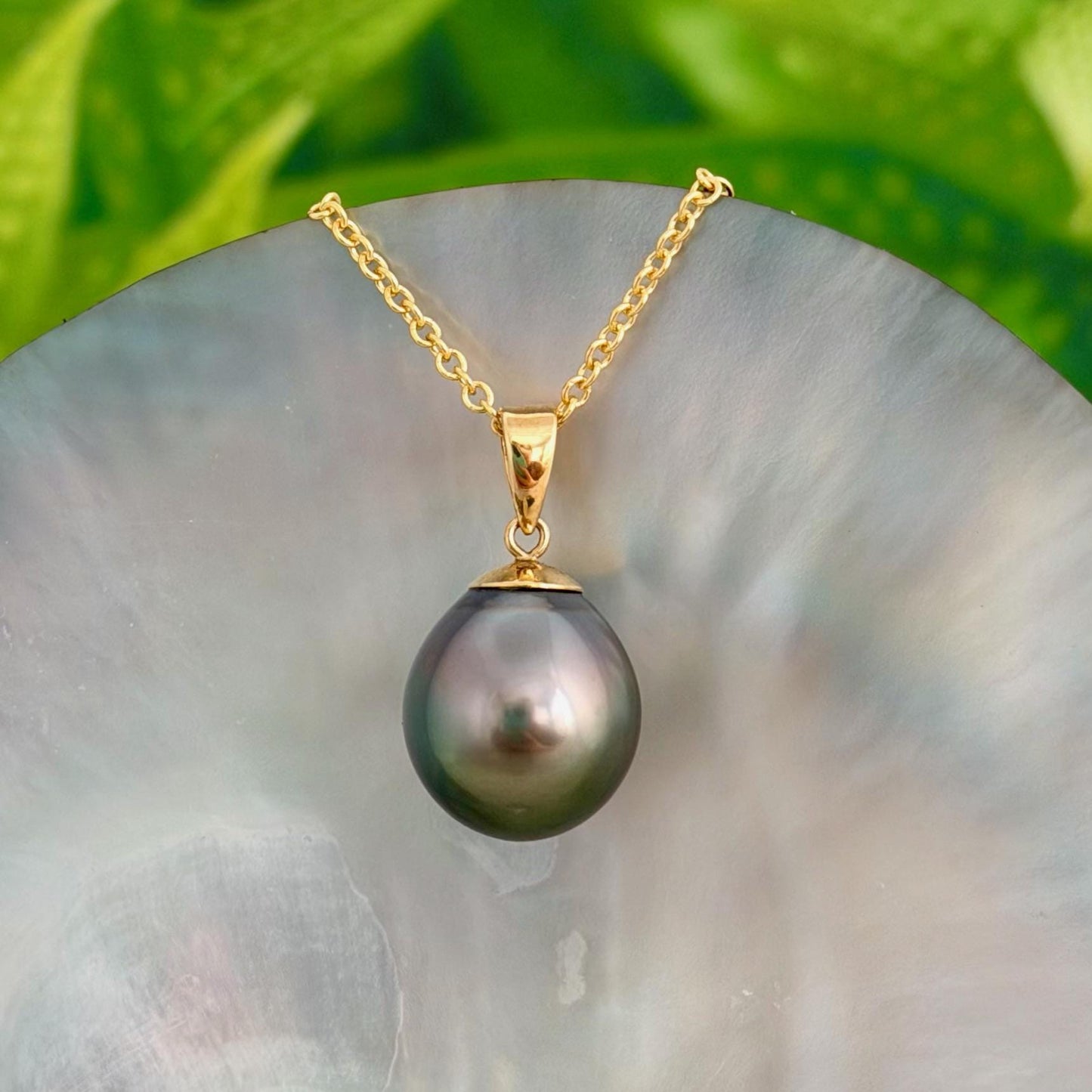 12.3mm Peacock Tahitian Pearl Pendant: Solid Gold • Minimalist Necklace, Colorful Overtone