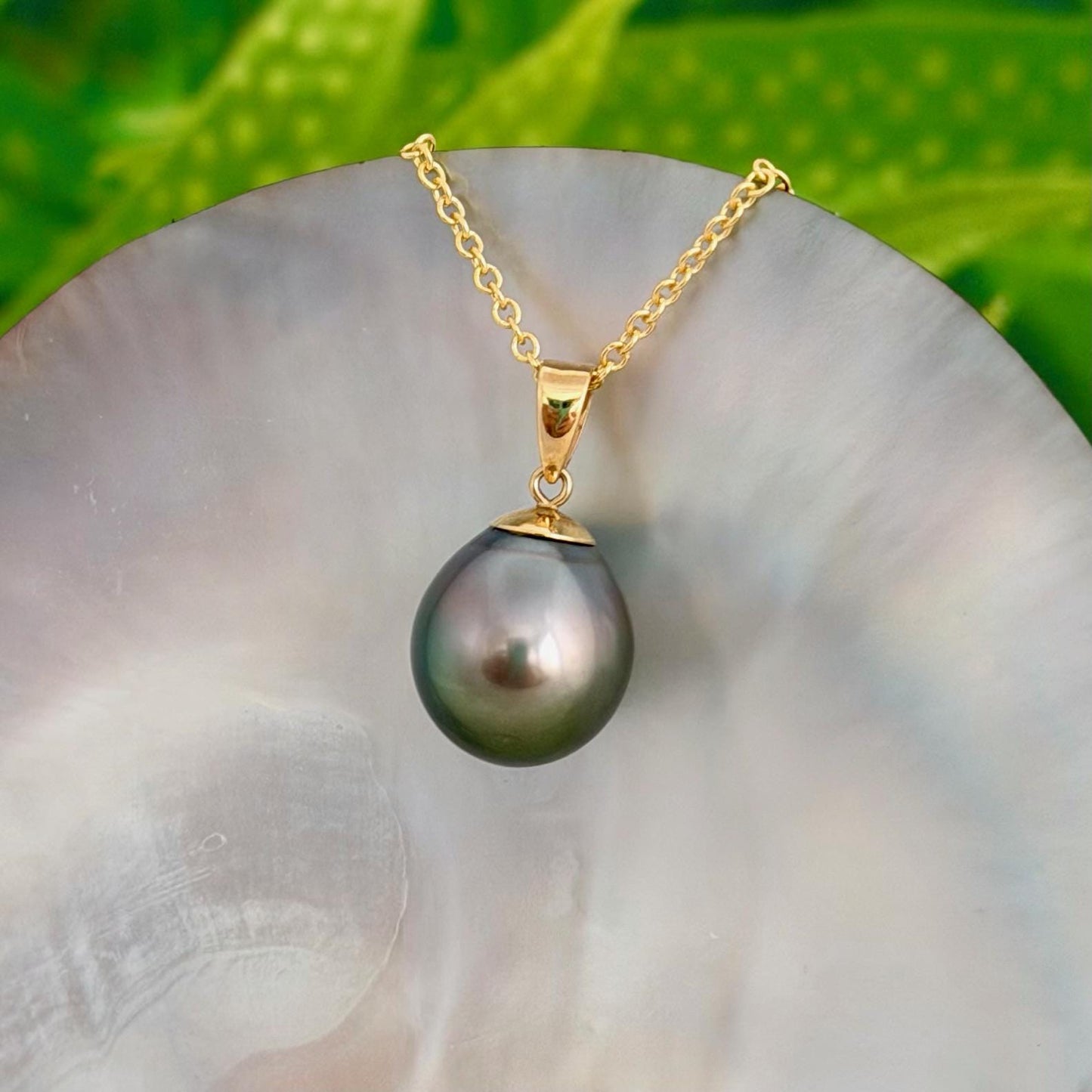 12.3mm Peacock Tahitian Pearl Pendant: Solid Gold • Minimalist Necklace, Colorful Overtone