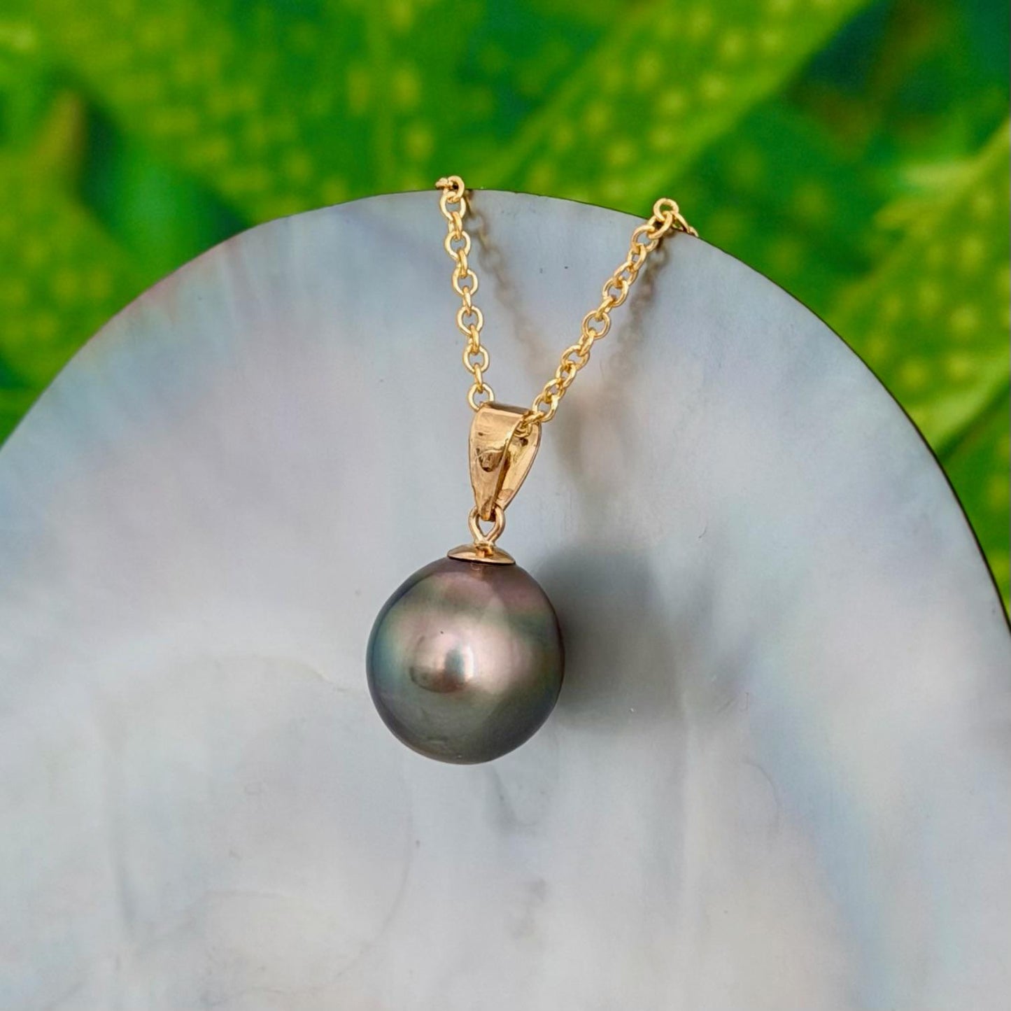 11.5mm Peacock Tahitian Pearl Pendant: Solid Gold • Minimalist Necklace, Colorful Overtone