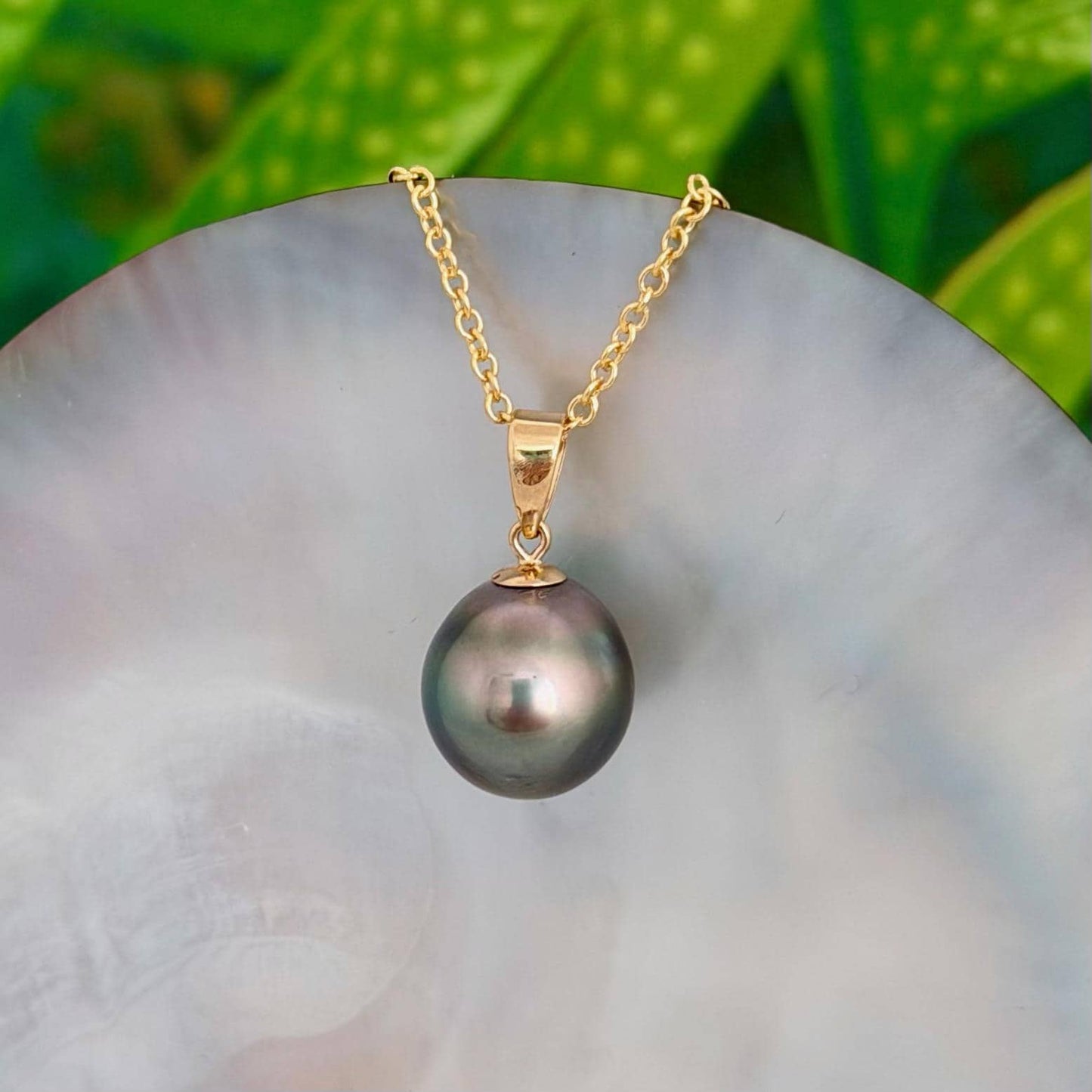 11.5mm Peacock Tahitian Pearl Pendant: Solid Gold • Minimalist Necklace, Colorful Overtone