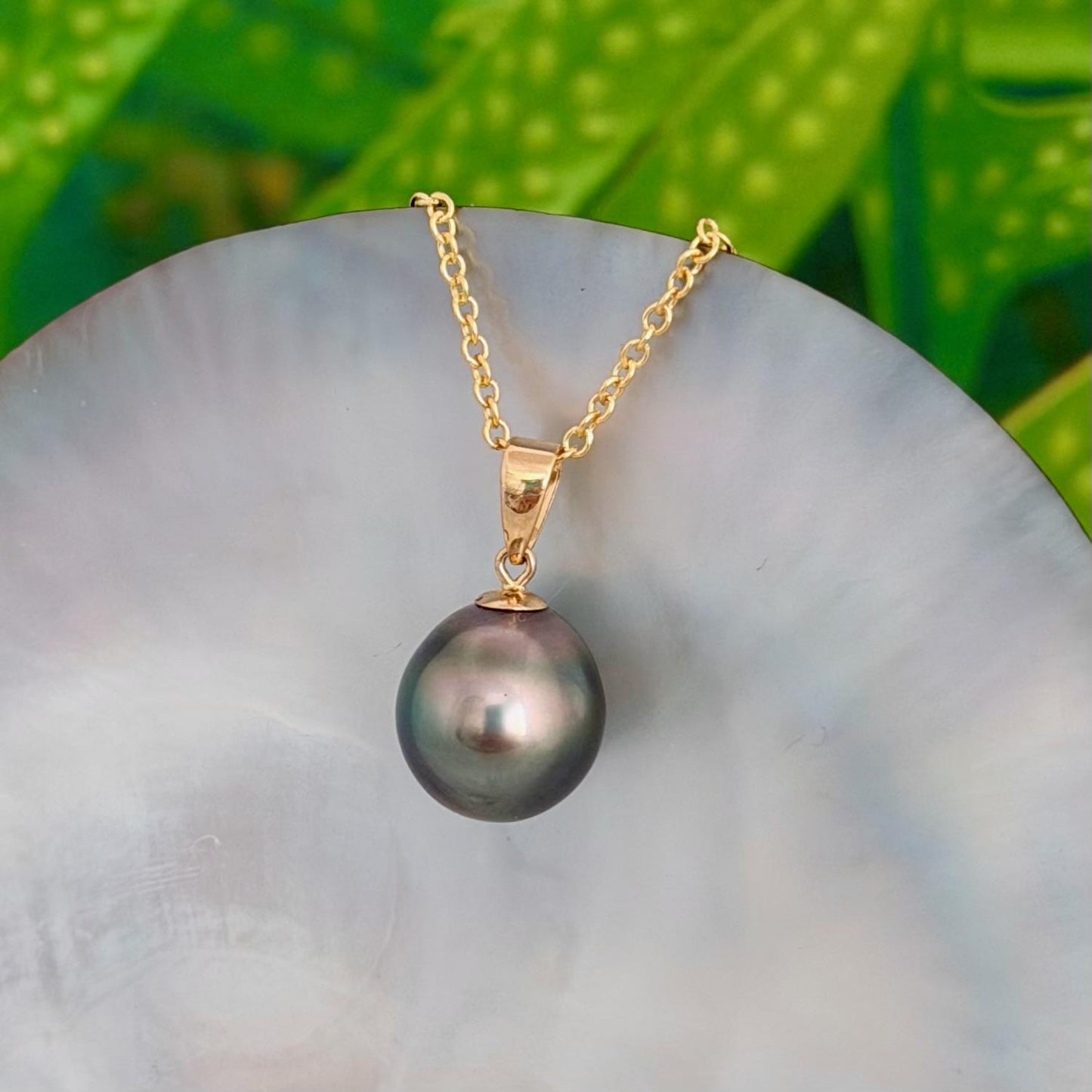 11.5mm Peacock Tahitian Pearl Pendant: Solid Gold • Minimalist Necklace, Colorful Overtone