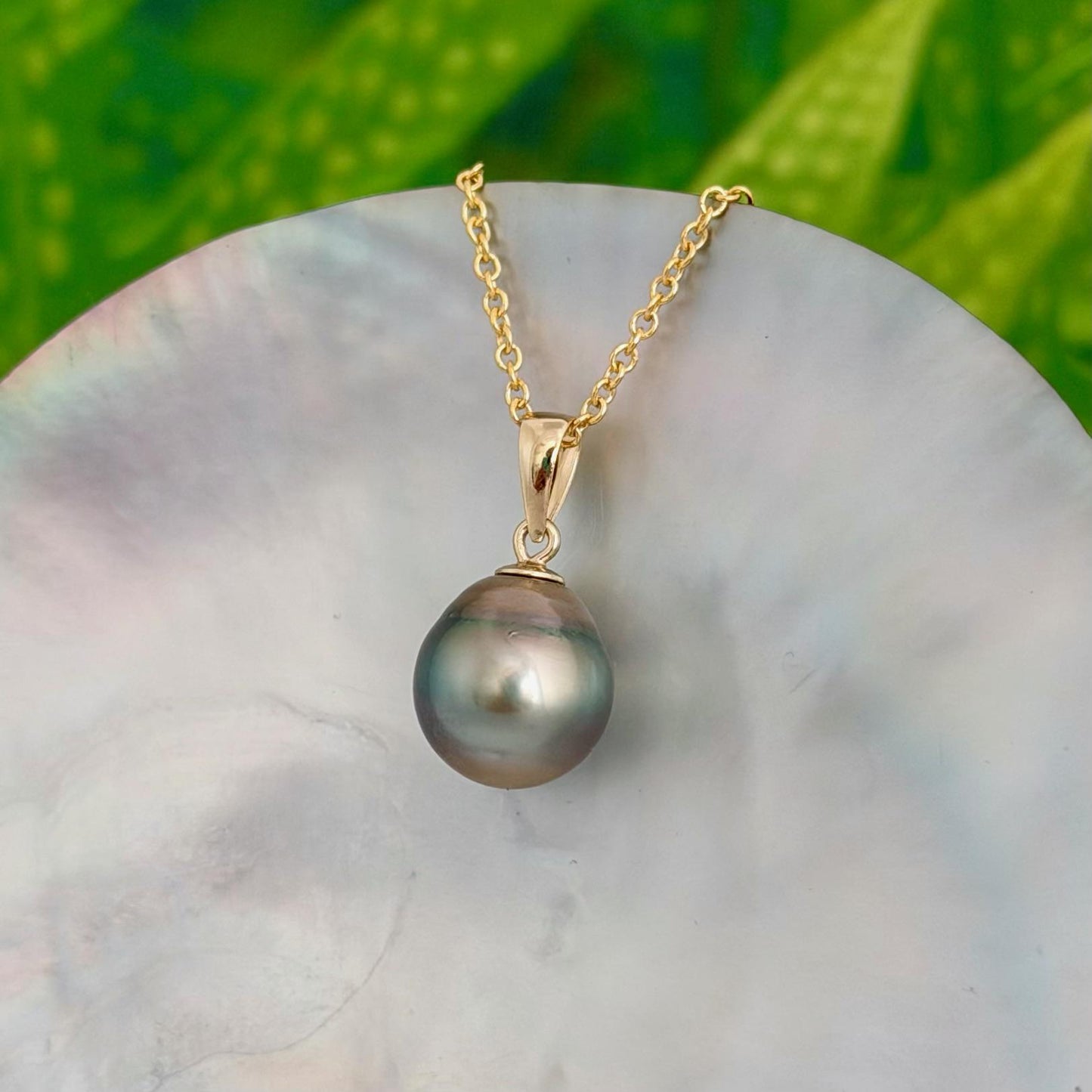 Tahitian Pearl Pendant • 11.2mm Golden Peacock • 14k Gold Vermeil • Minimalist Necklace