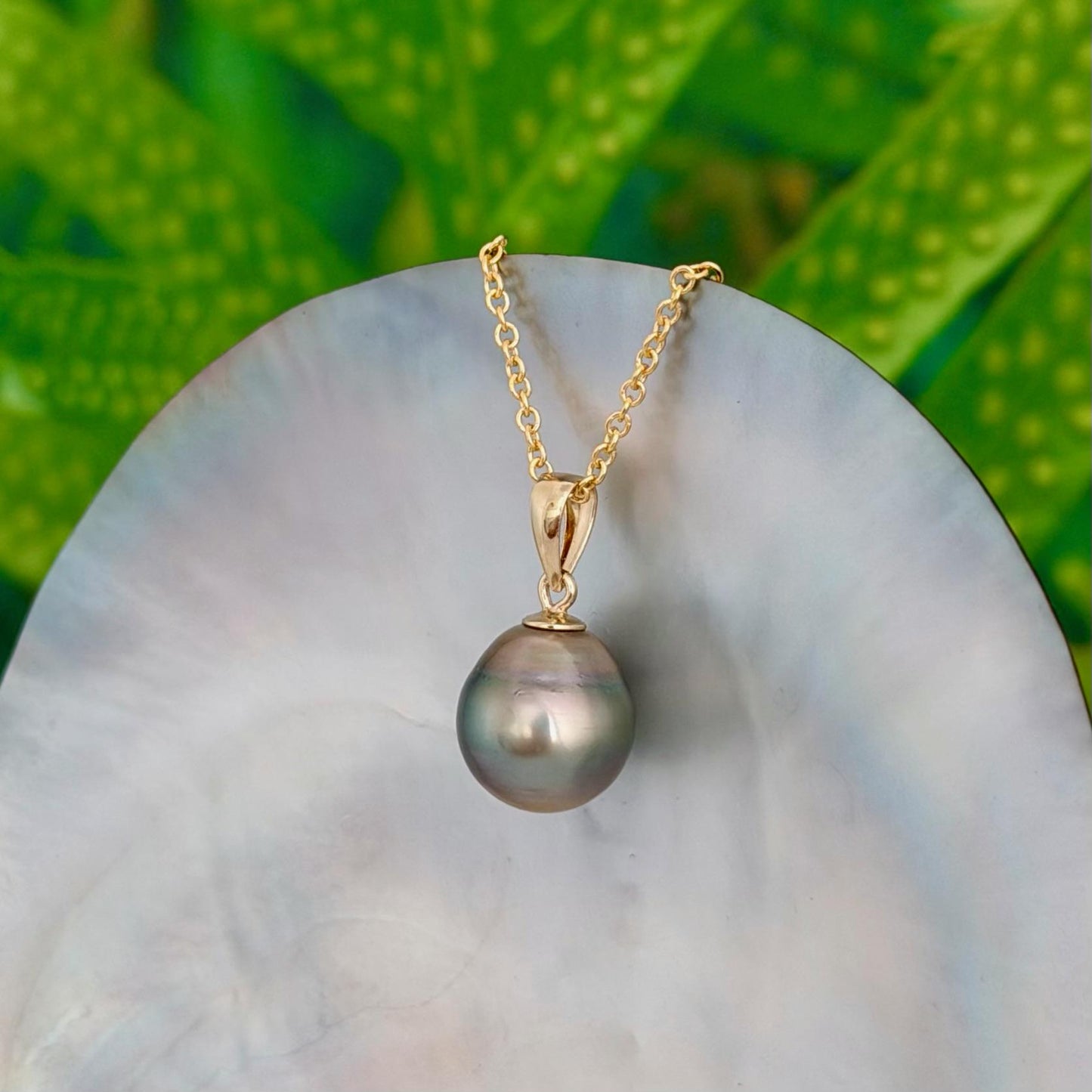 Tahitian Pearl Pendant • 11.2mm Golden Peacock • 14k Gold Vermeil • Minimalist Necklace