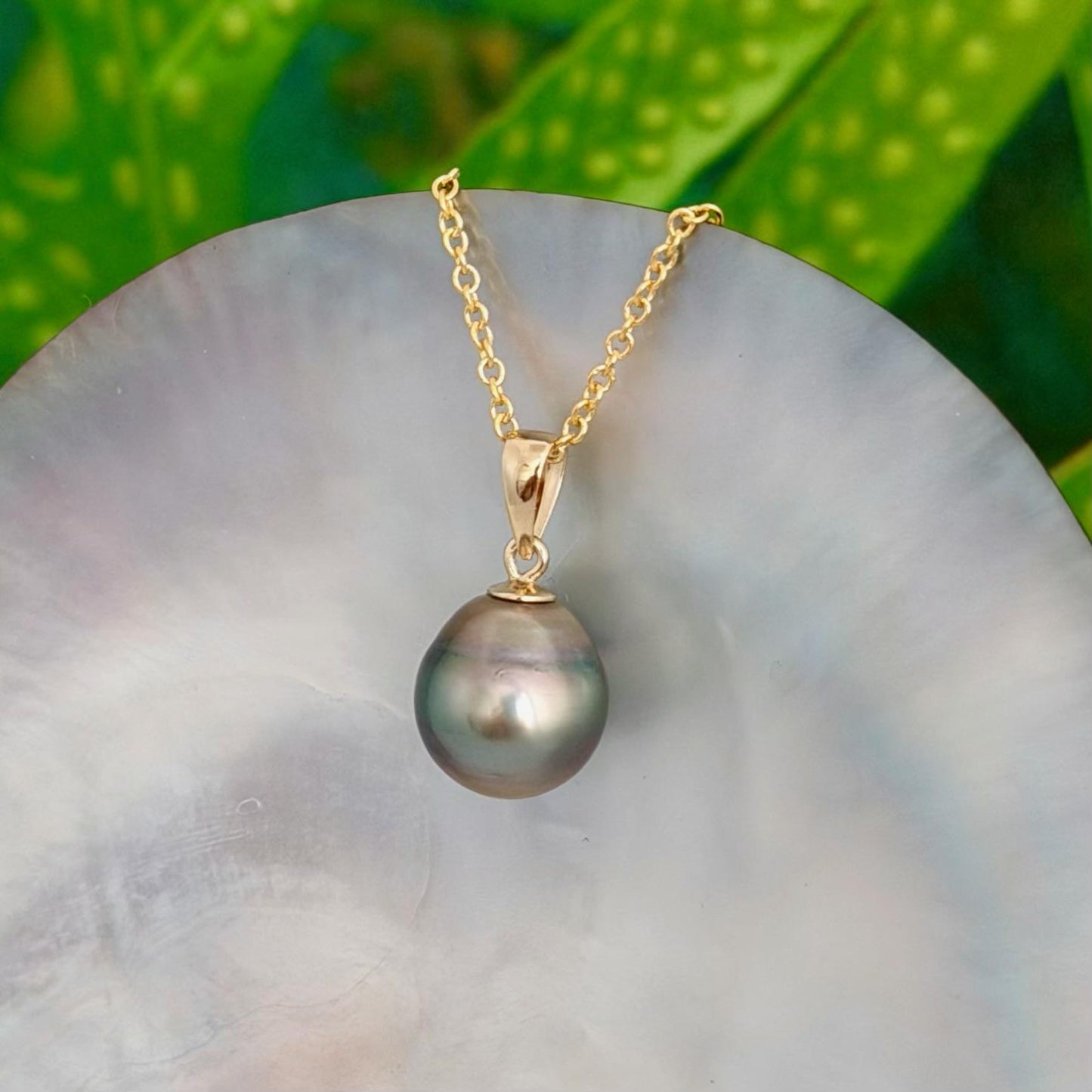 Tahitian Pearl Pendant • 11.2mm Golden Peacock • 14k Gold Vermeil • Minimalist Necklace