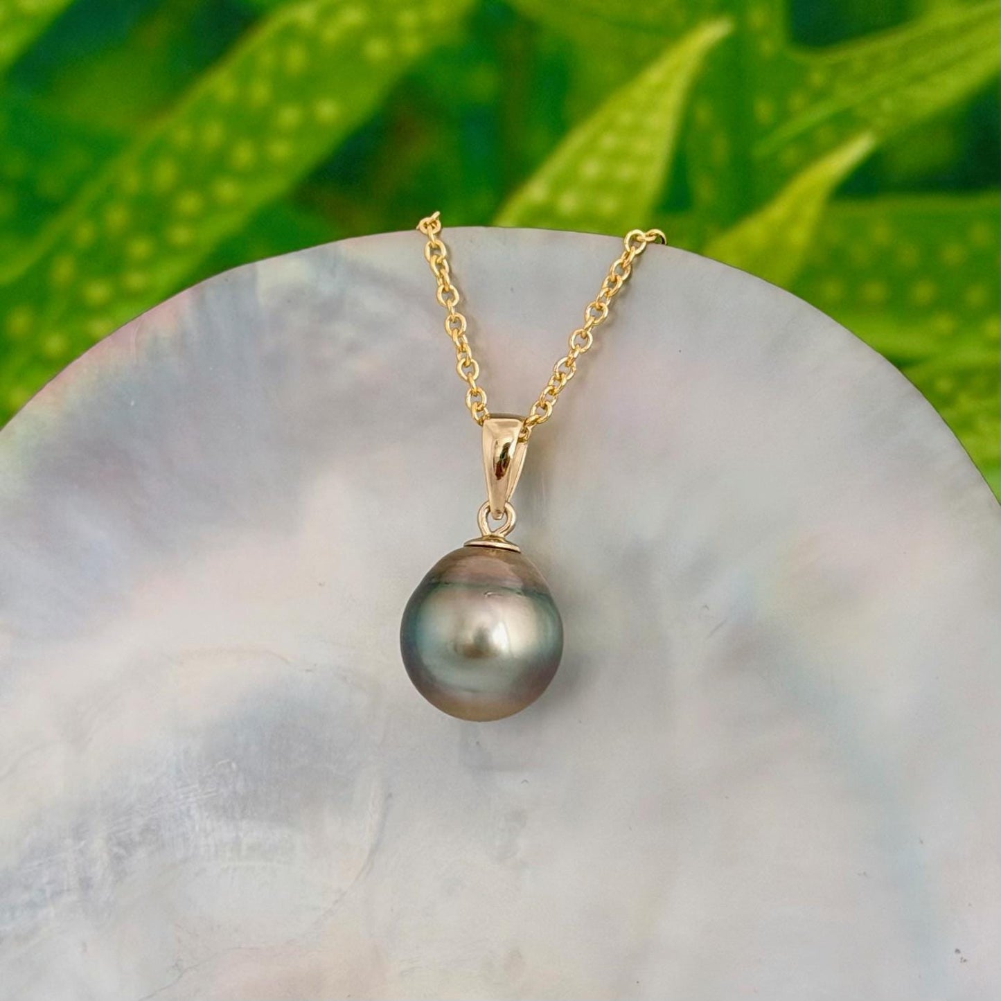 Tahitian Pearl Pendant • 11.2mm Golden Peacock • 14k Gold Vermeil • Minimalist Necklace