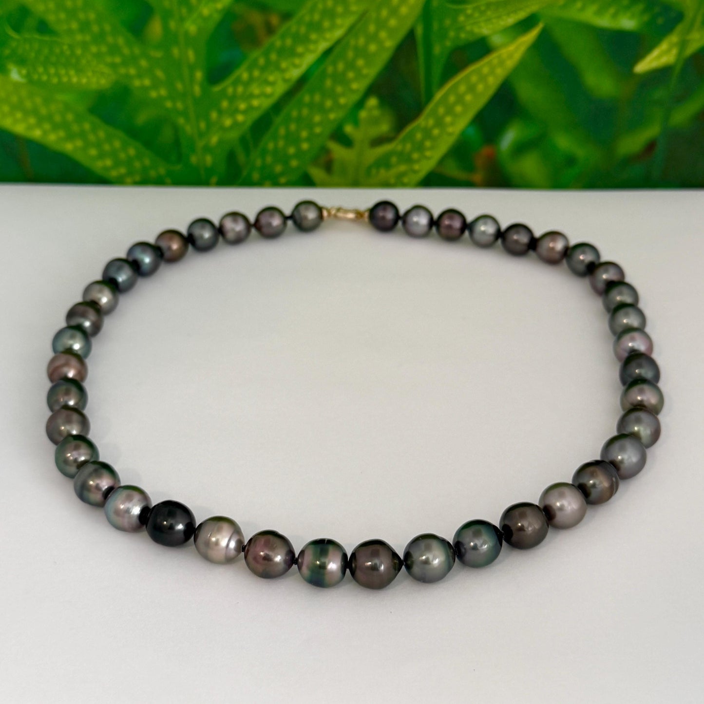 Tahitian Pearl Necklace • Dark Multicolor Strand • Handmade in Hawaii Jewelry • Luxurious Choker