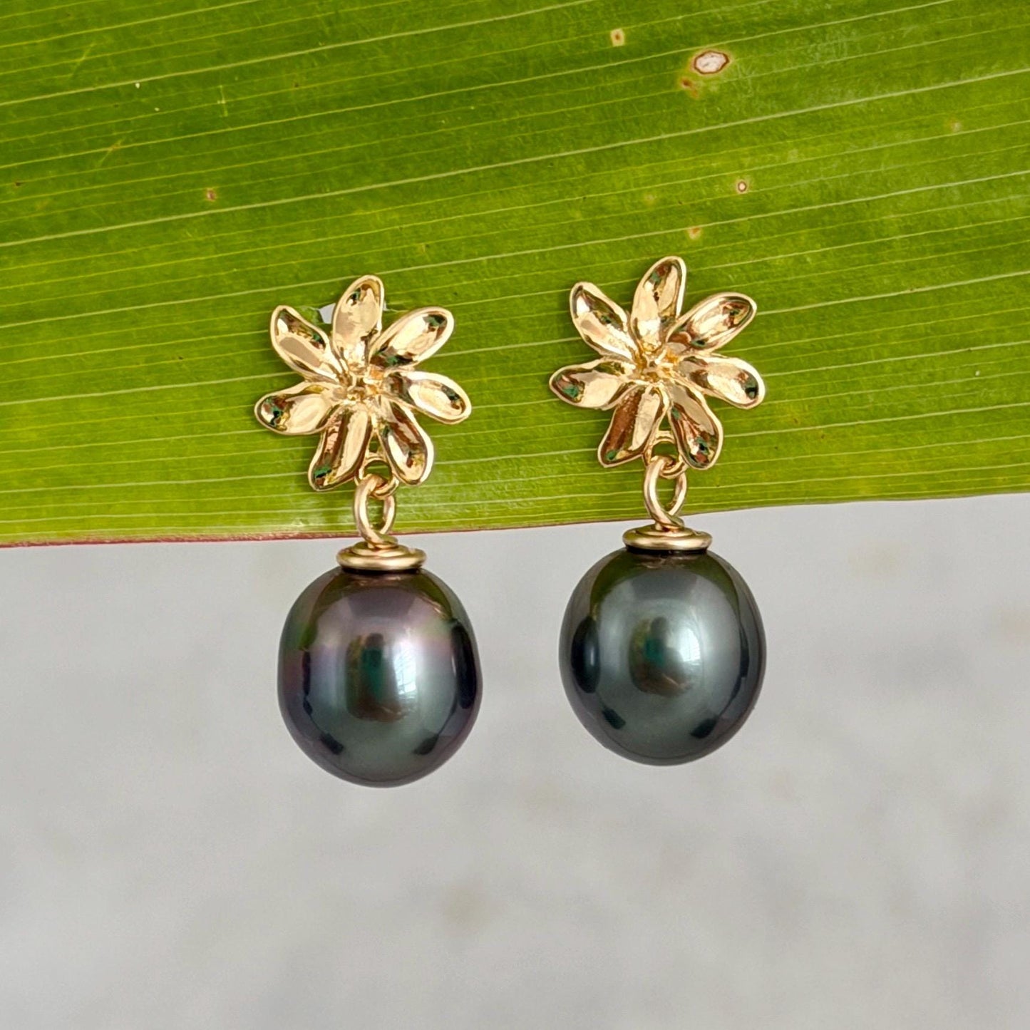Tahitian pearl stud earrings — Gardenia Tiare flower • Gold jewelry
