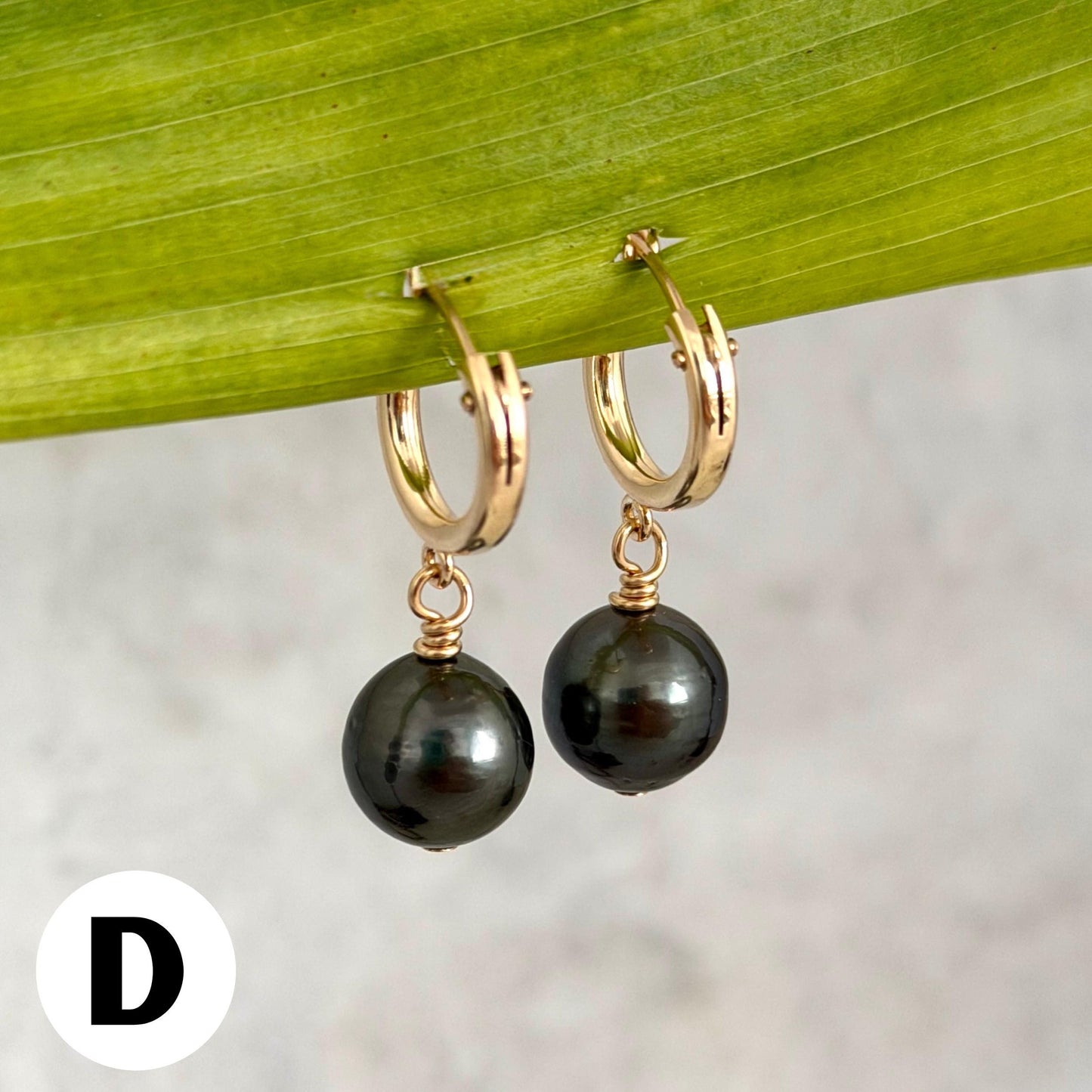 Tahitian pearl hoops • Huggies earrings • 14k gold filled jewelry
