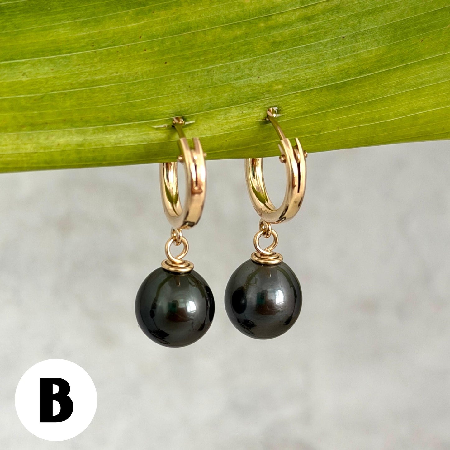 Tahitian pearl hoops • Huggies earrings • 14k gold filled jewelry