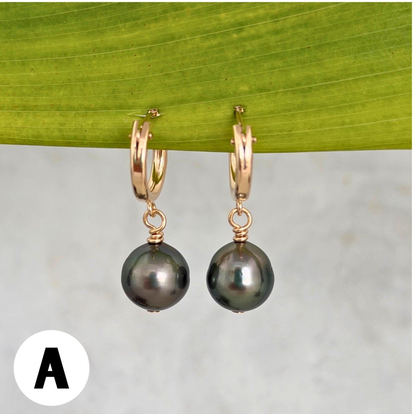 Tahitian pearl hoops • Huggies earrings • 14k gold filled jewelry