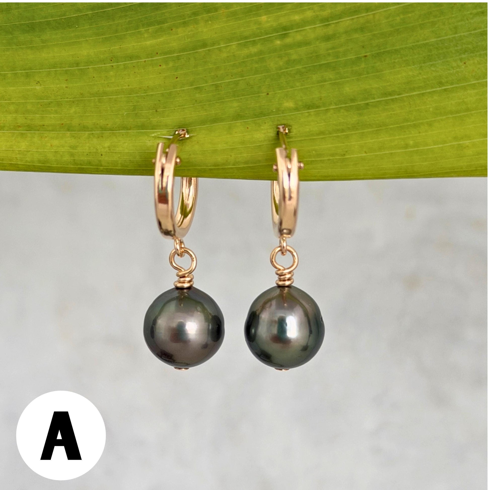 Tahitian pearl hoops • Huggies earrings • 14k gold filled jewelry