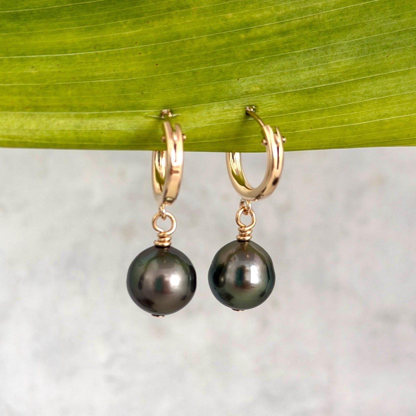 Tahitian pearl hoops • Huggies earrings • 14k gold filled jewelry