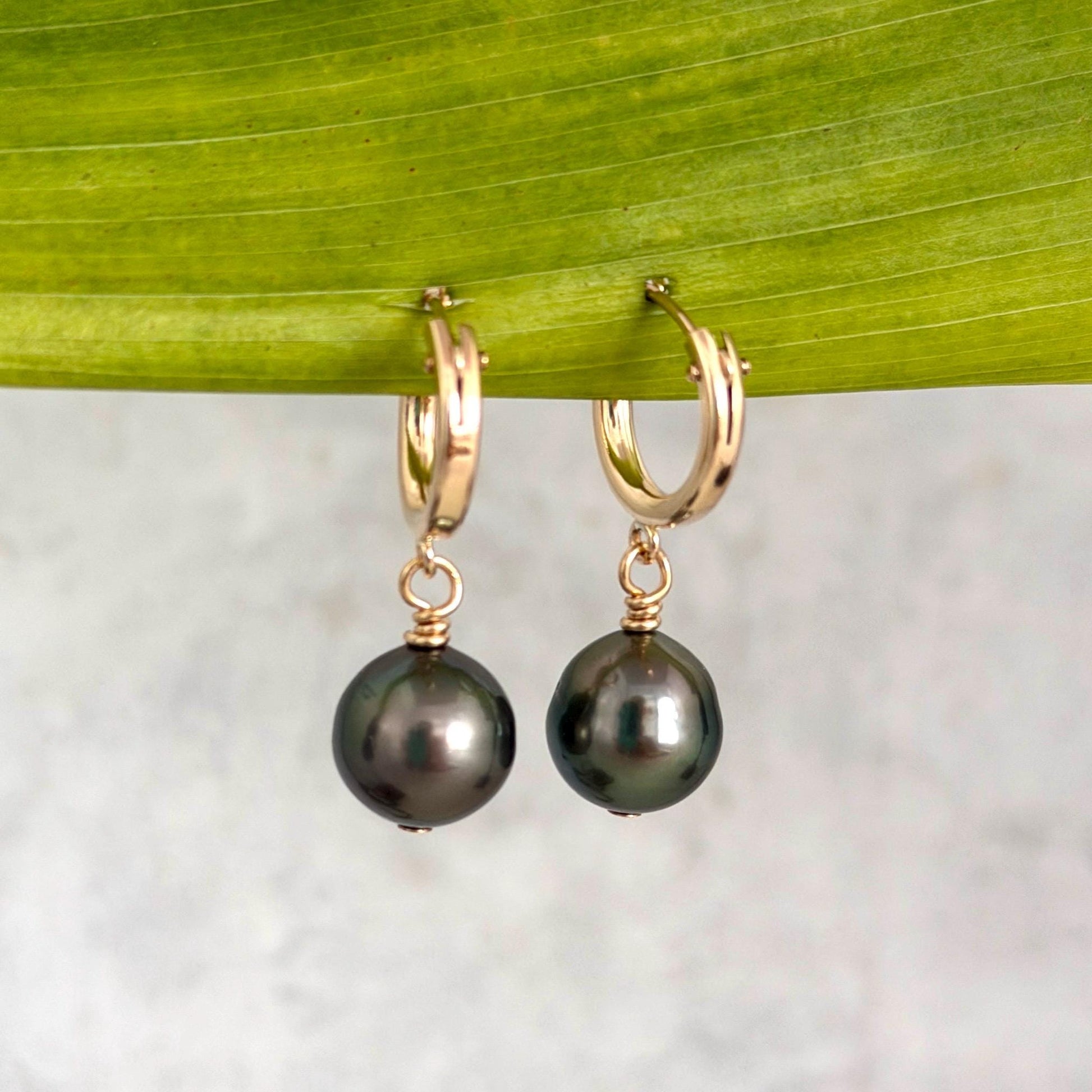 Tahitian pearl hoops • Huggies earrings • 14k gold filled jewelry