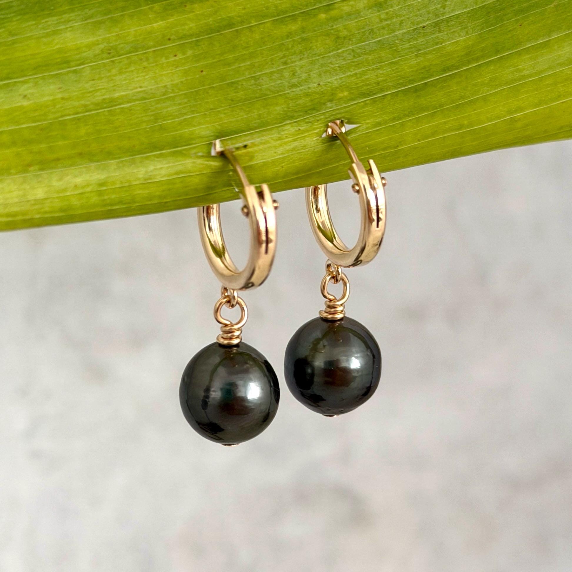 Tahitian pearl hoops • Huggies earrings • 14k gold filled jewelry