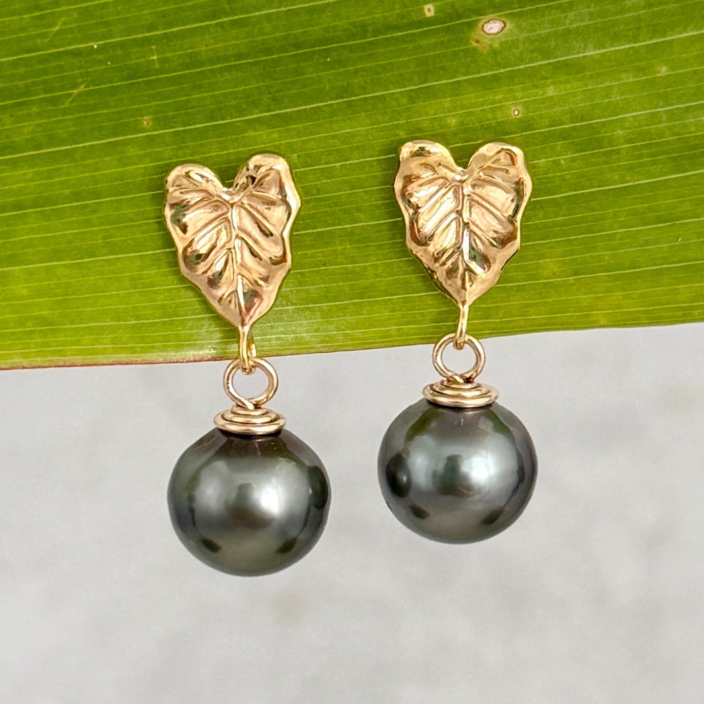 Tahitian pearl earrings • Kalo studs • Hawaiian design • Gold Taro leaf
