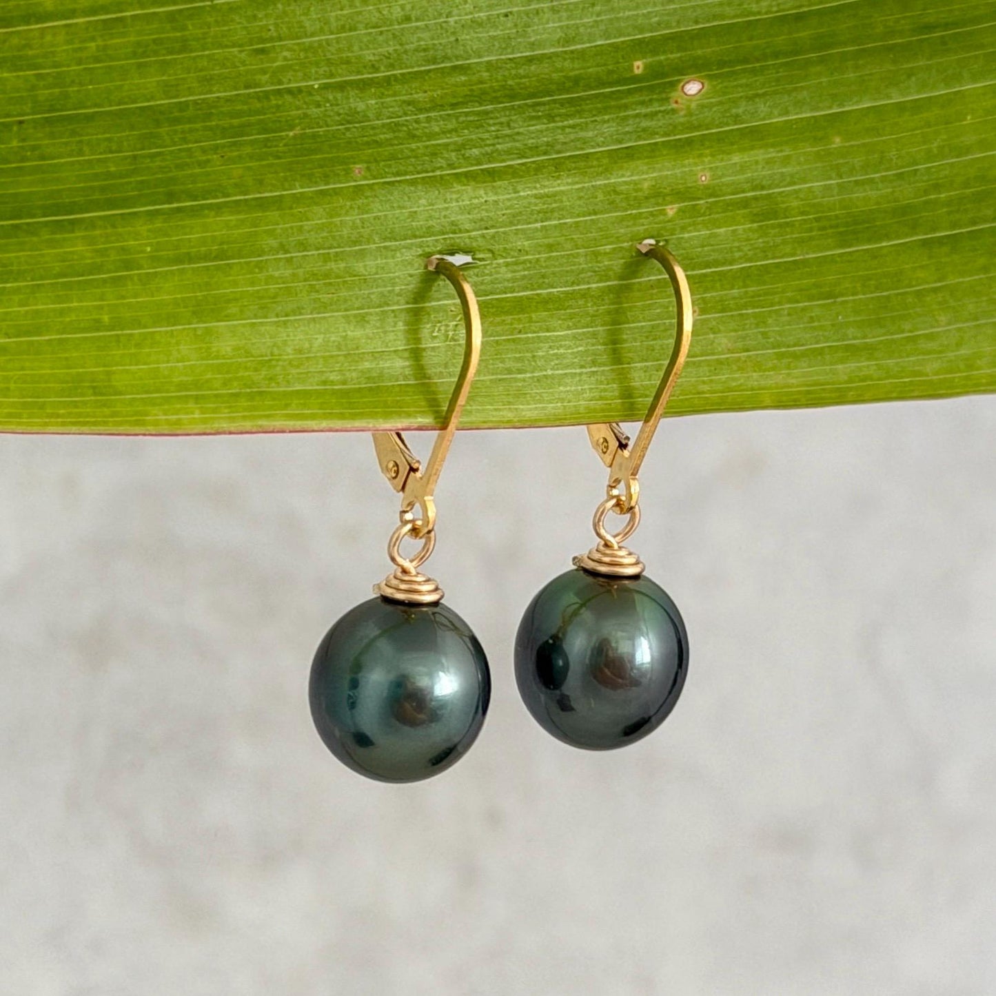 Tahitian Pearl Leverback Earrings • Gold filled dangle jewelry