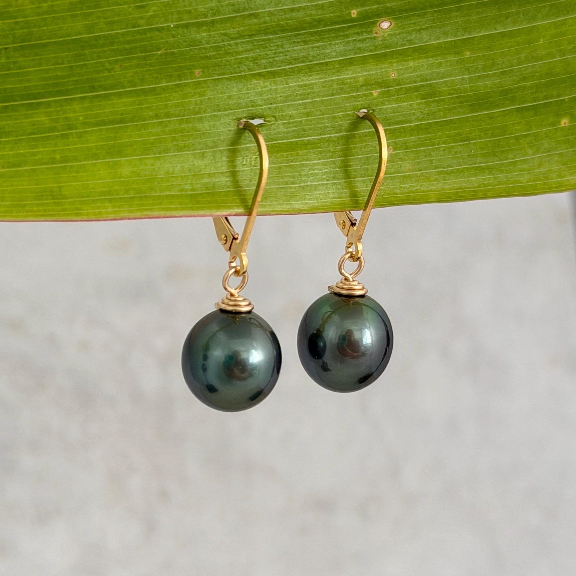 Tahitian Pearl Leverback Earrings • Gold filled dangle jewelry